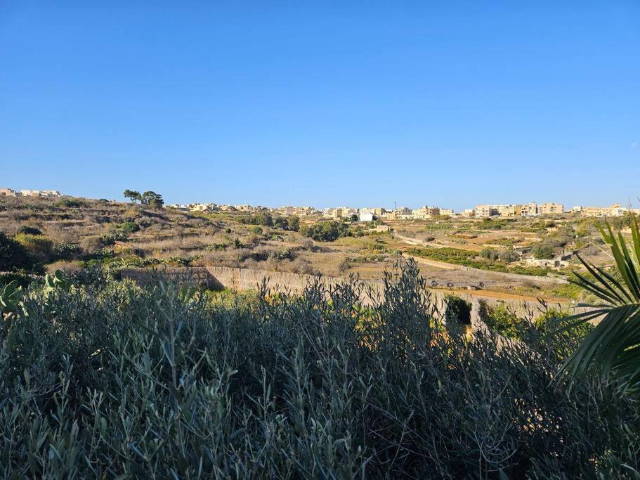 Photo 29
