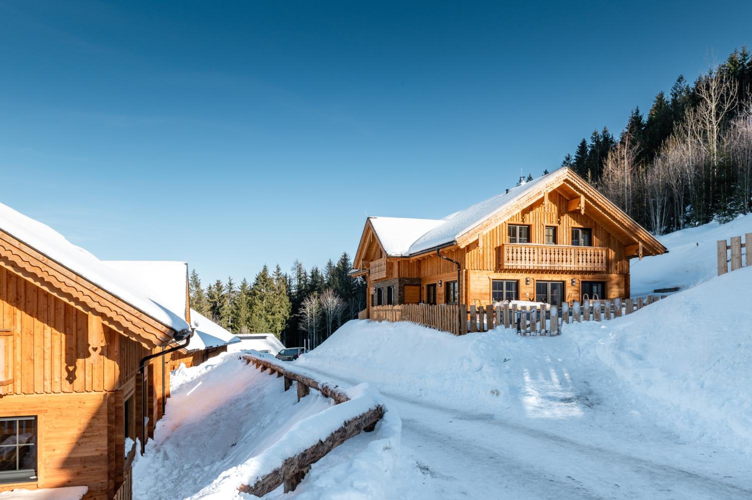 Poolchalet Dachsteinblick