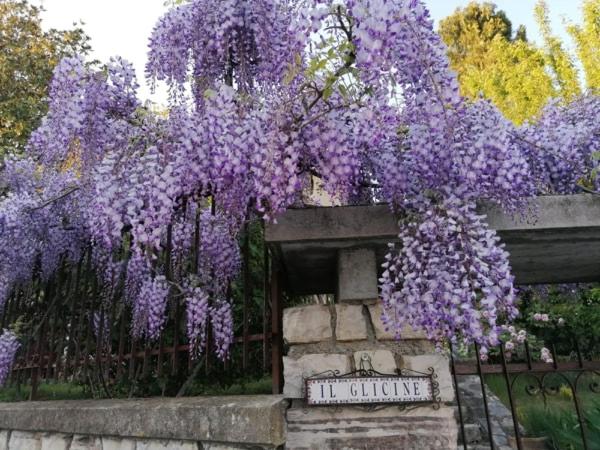 Photo 33