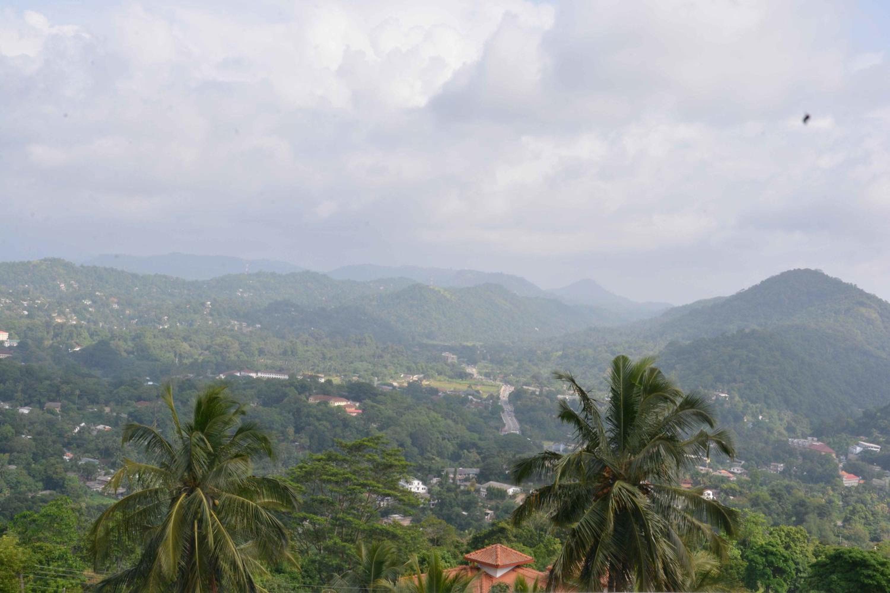 High View Homestay view 5