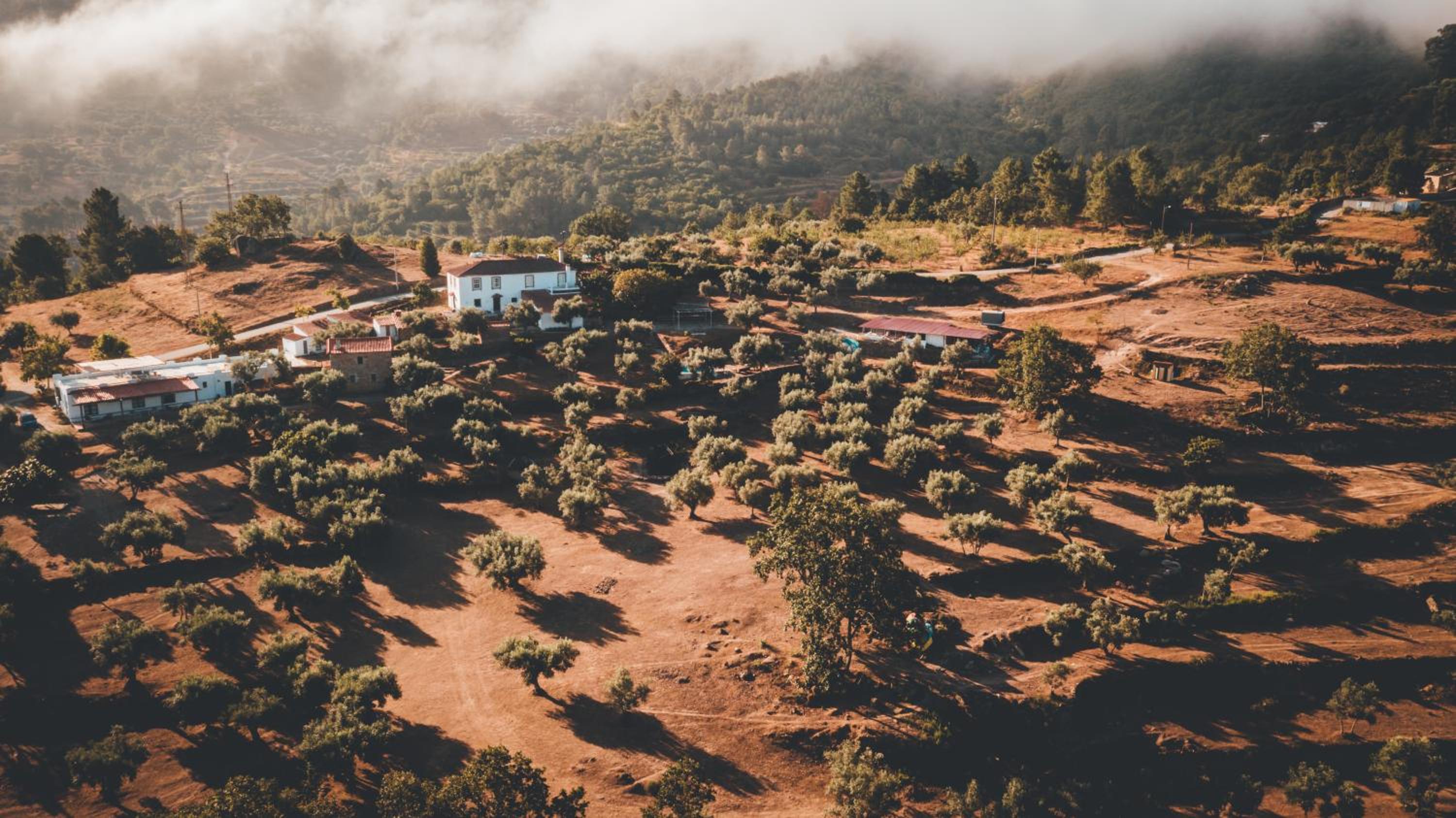 Hotel Special Farmstay, Faia-Guarda - Image 1