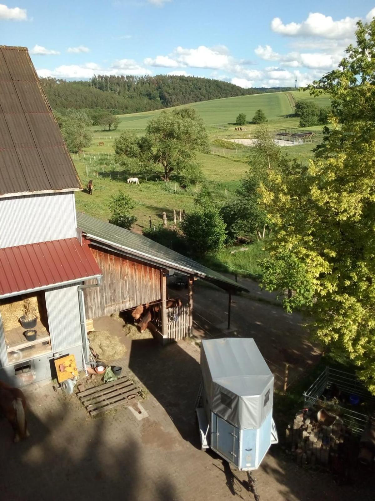 Große Ferienwohnung auf Pferdehof Mitten in der Natur