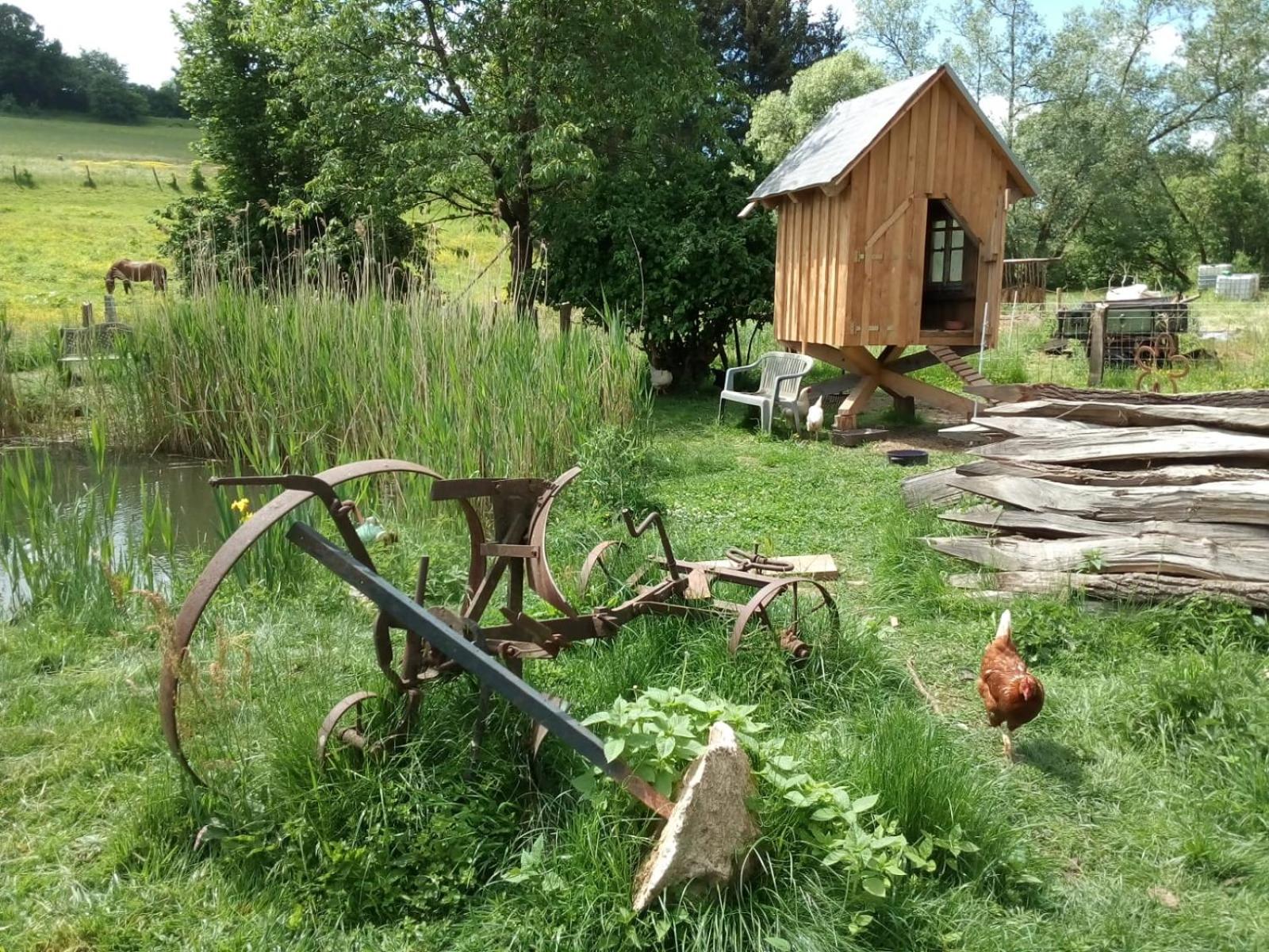 Große Ferienwohnung auf Pferdehof Mitten in der Natur