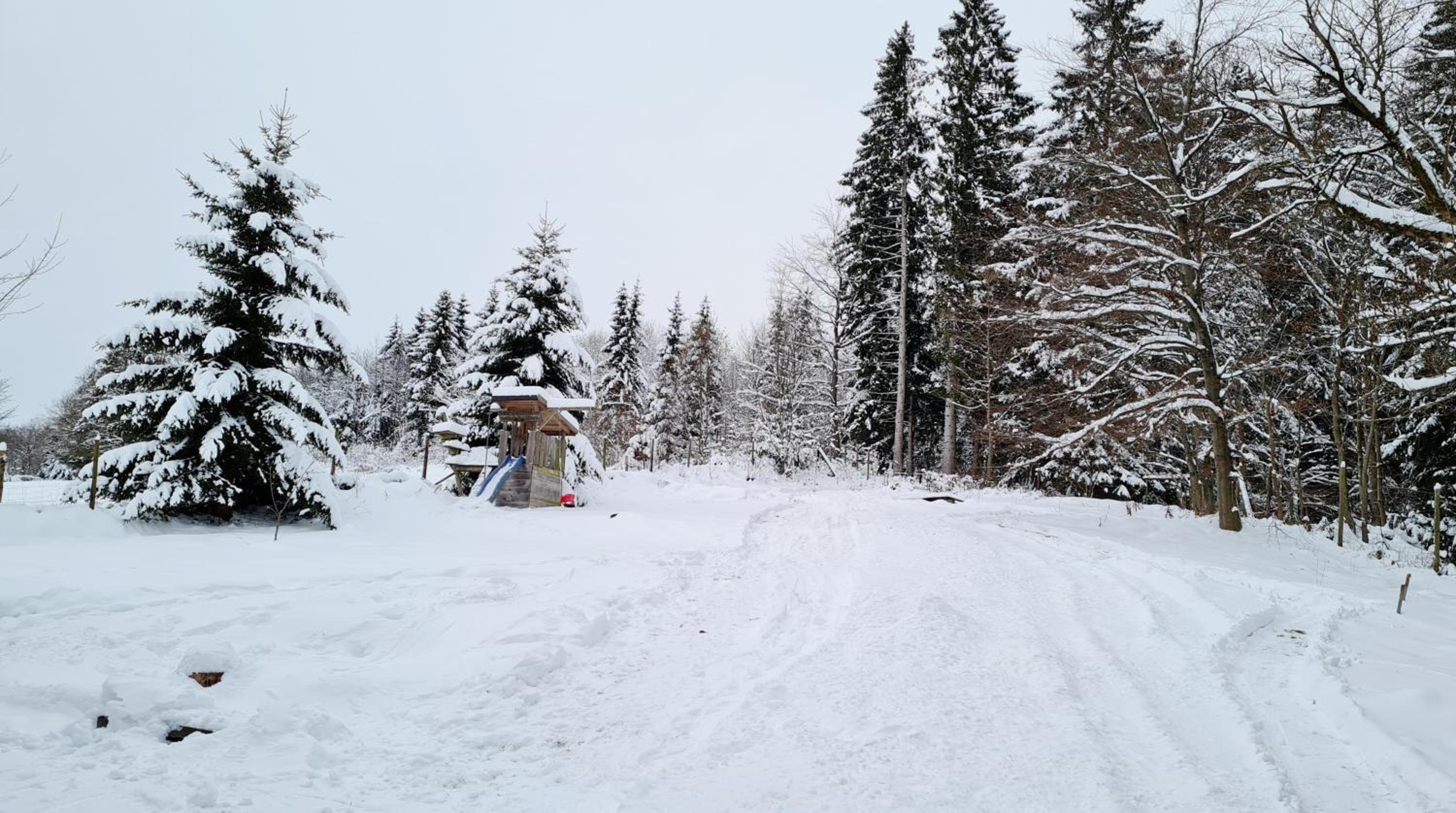 Photo 20
