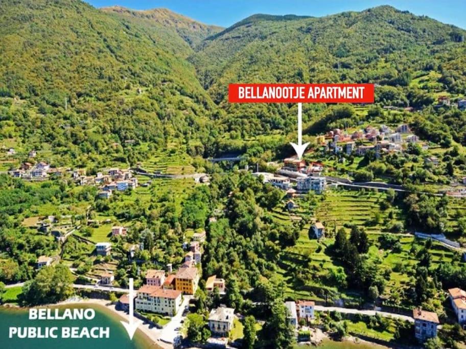 BELLANOOTJE by Design Studio view 3