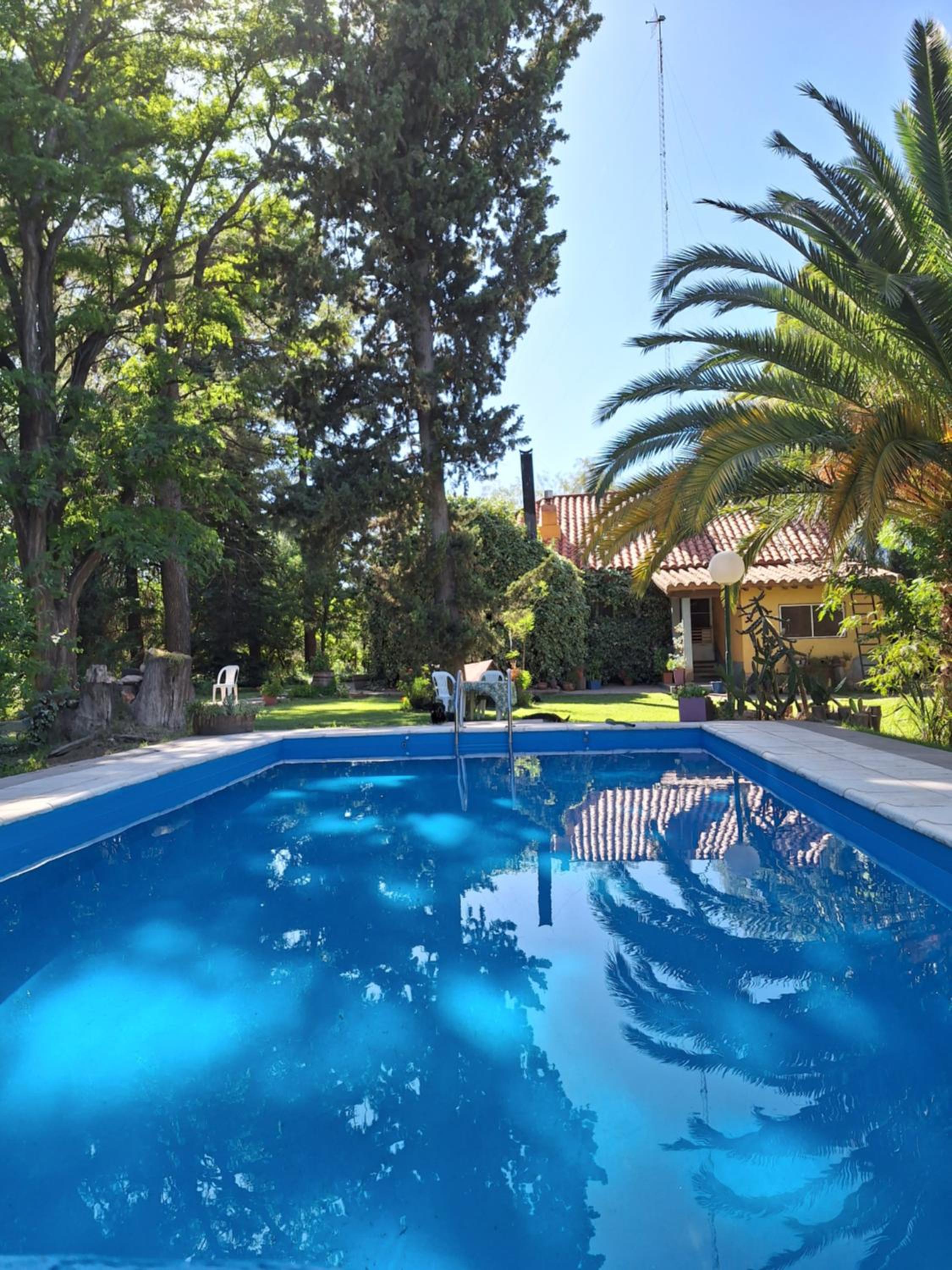 Escapada Exclusiva en Finca con Viñedos y Olivares Relájate en la Naturaleza con Confort y Encanto