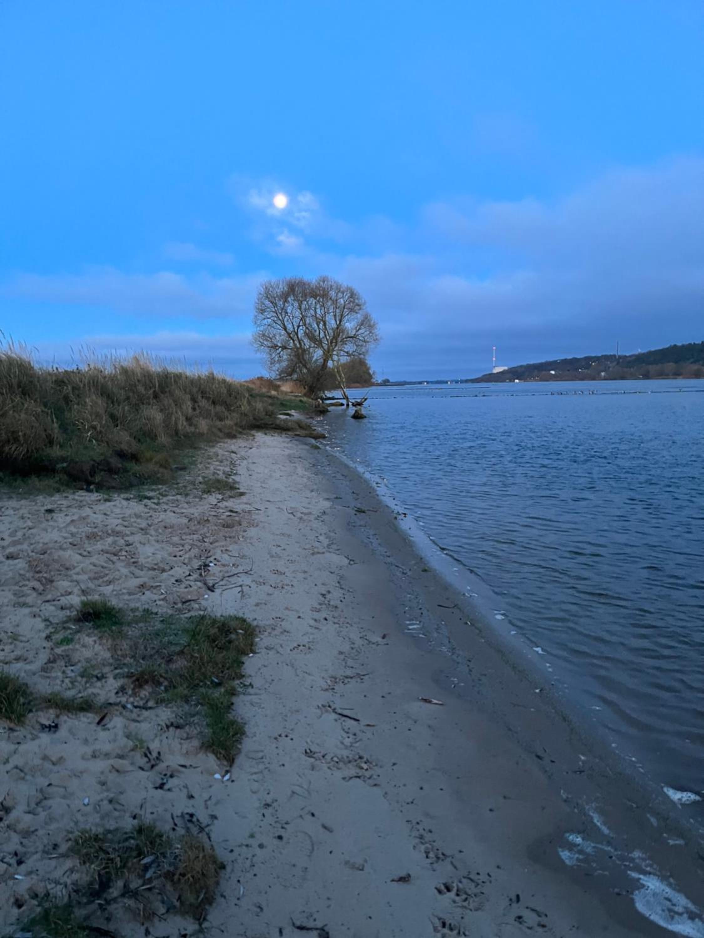 Cottage an der Elbe Tespe Hamburg