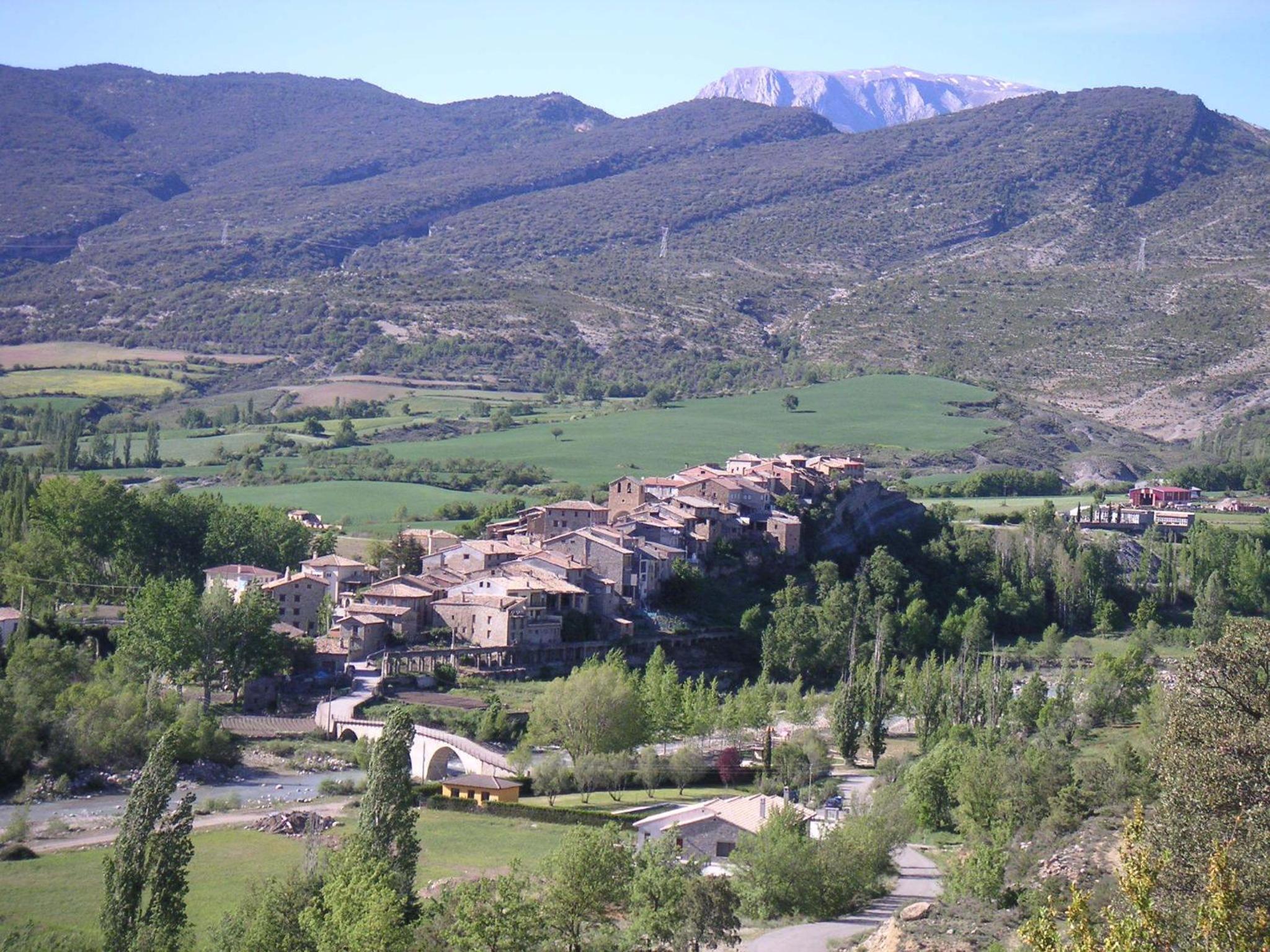 Photo 23