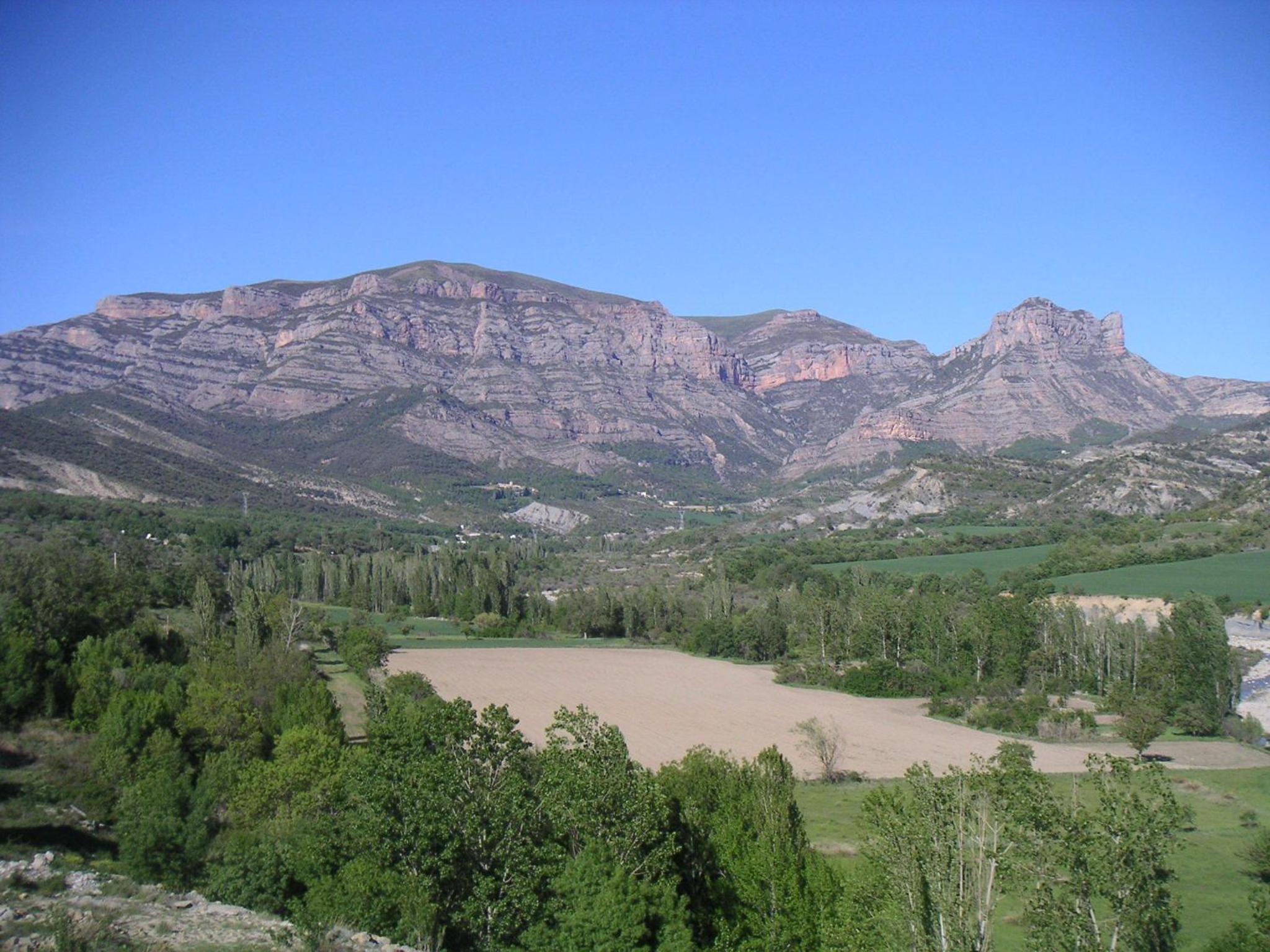Photo 24