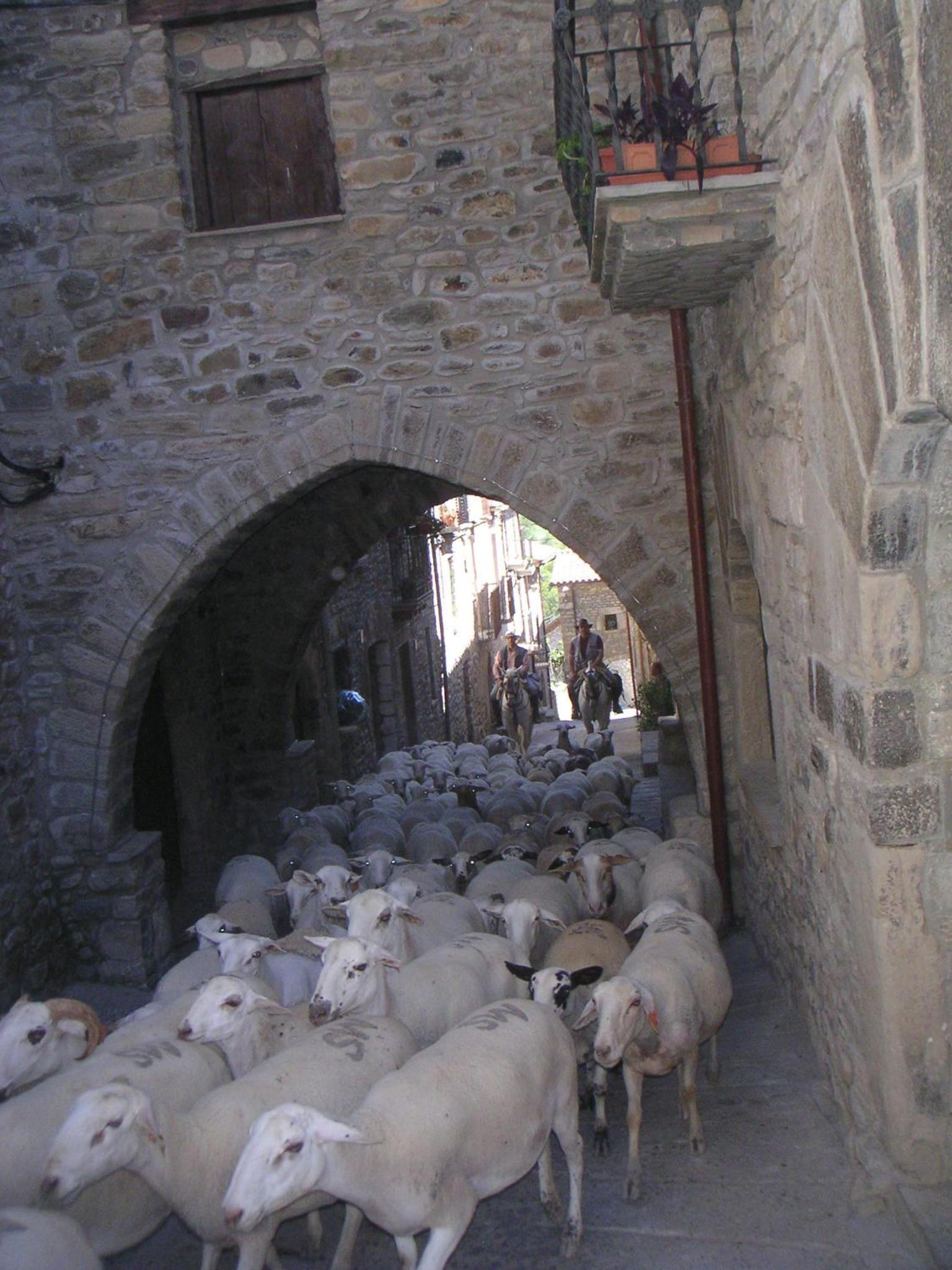 Photo 25