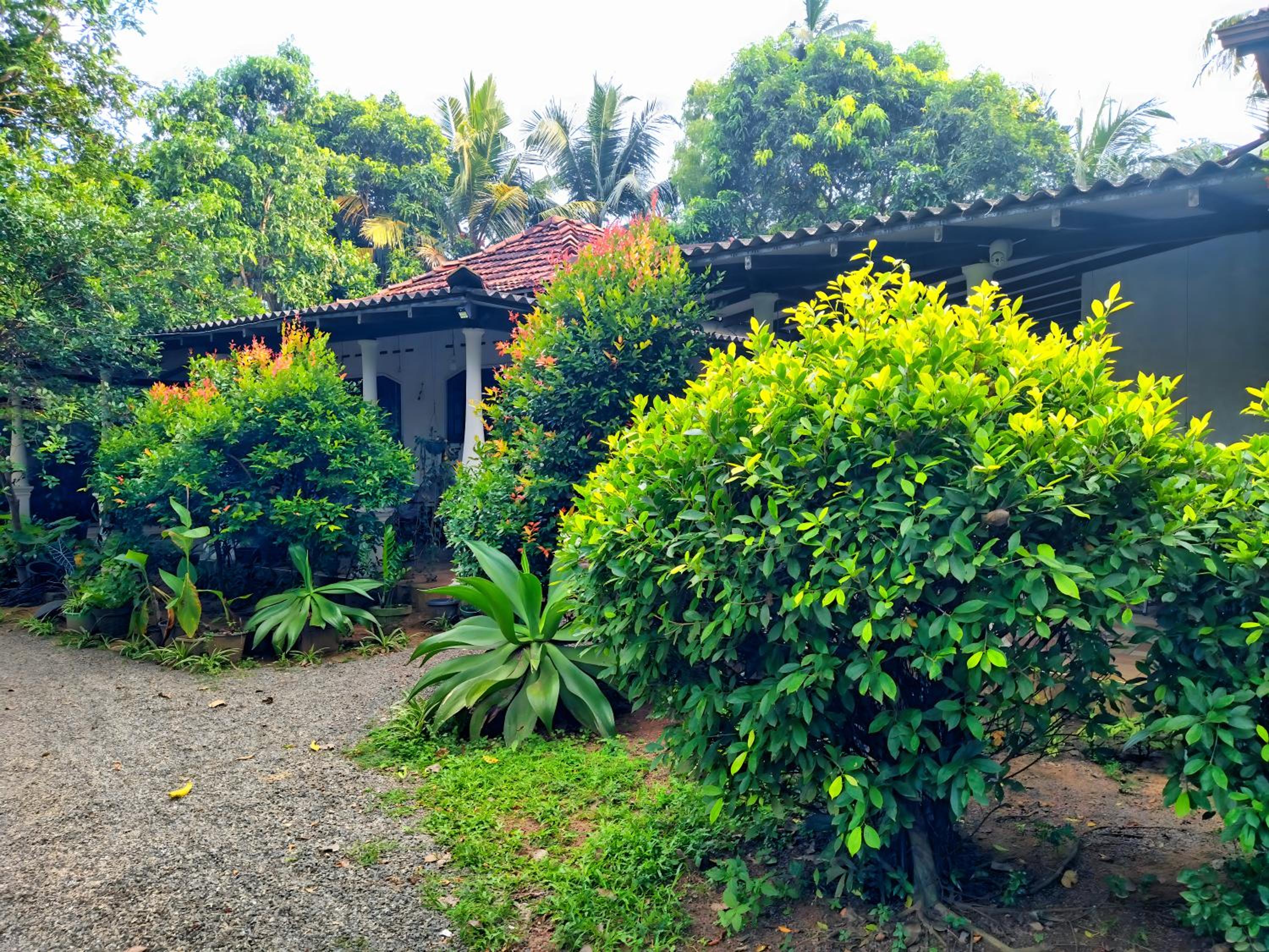 Dickwella Green Villa