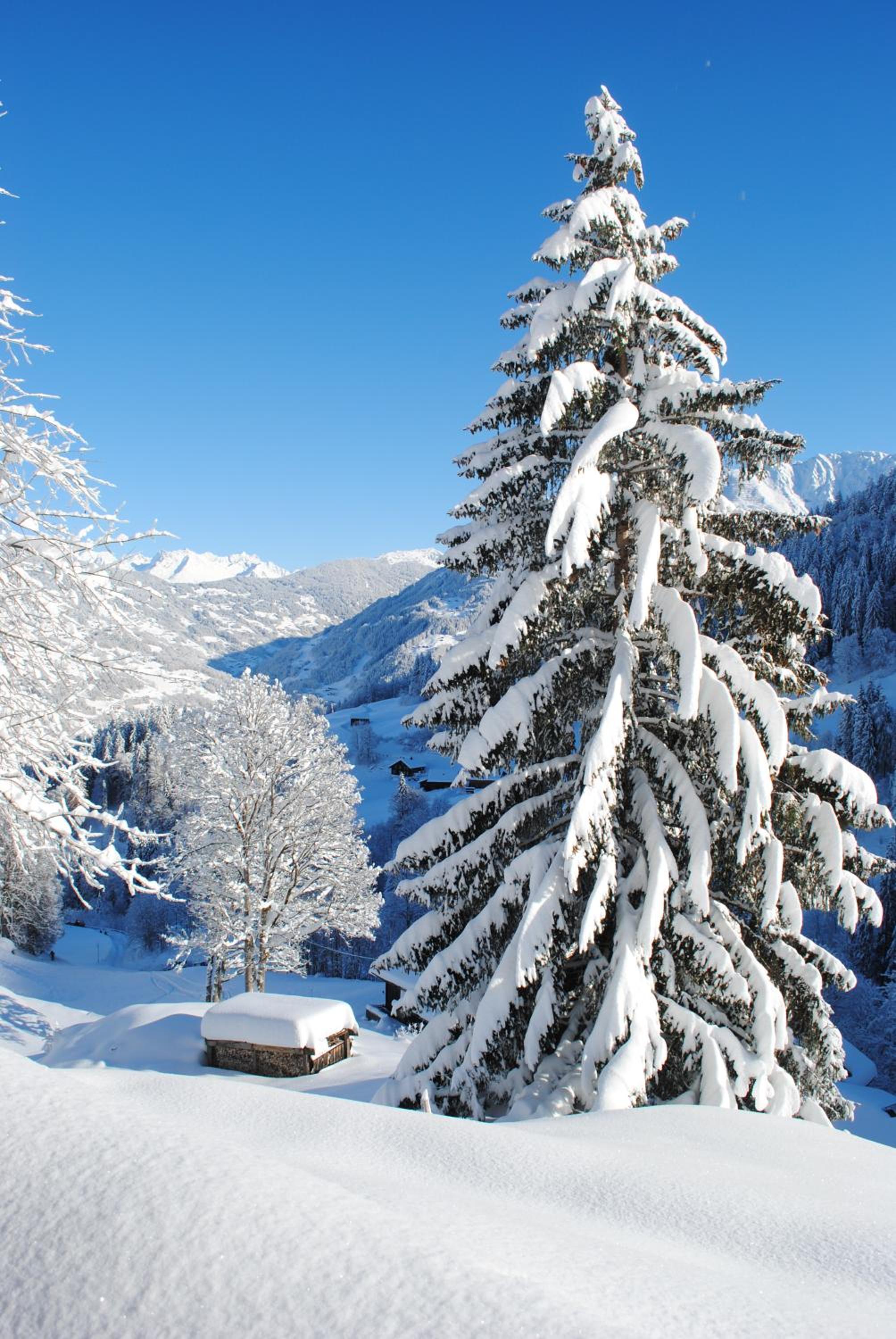 Alpenchalet Piz Hüsli