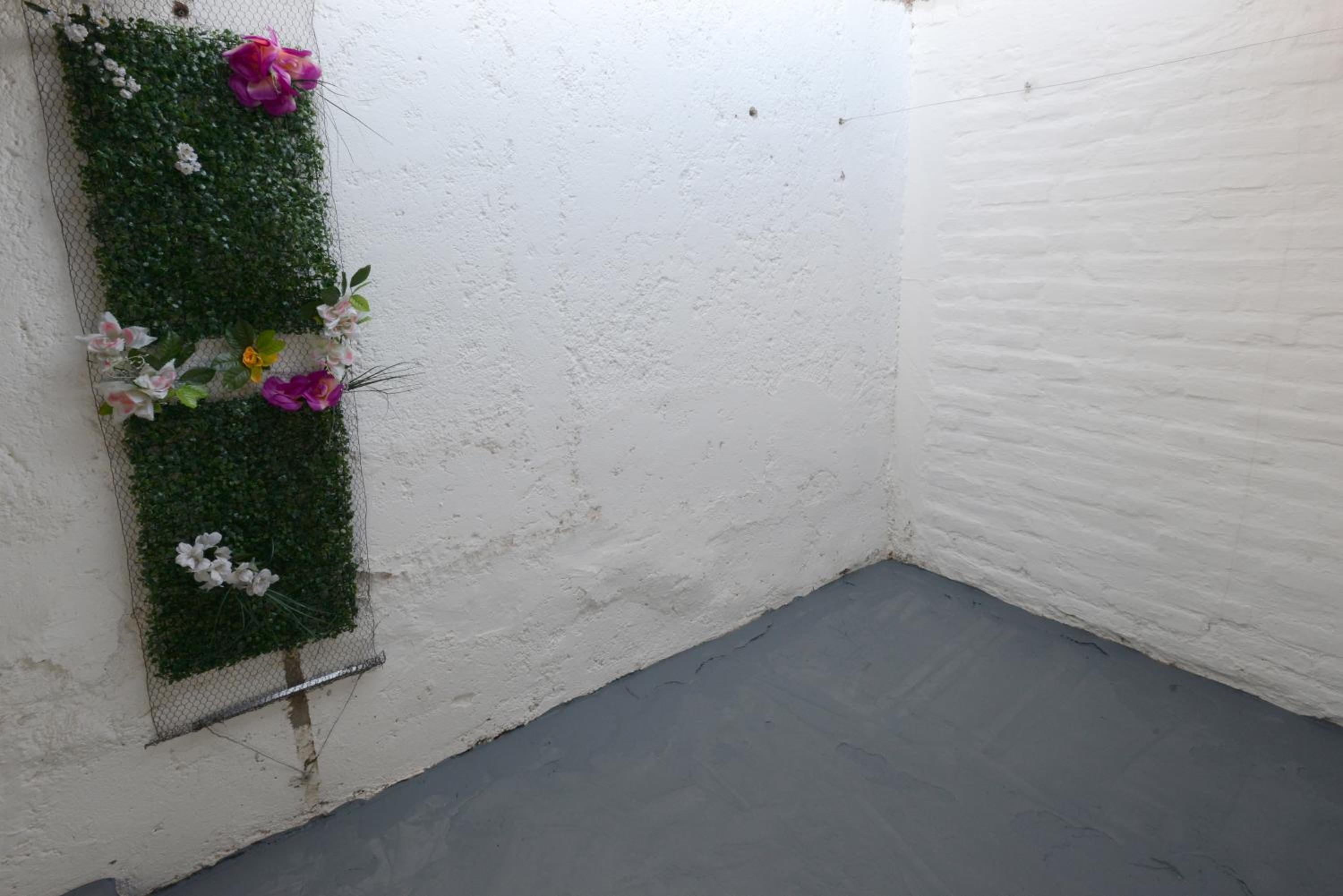 Amplio, Verde y Privado.