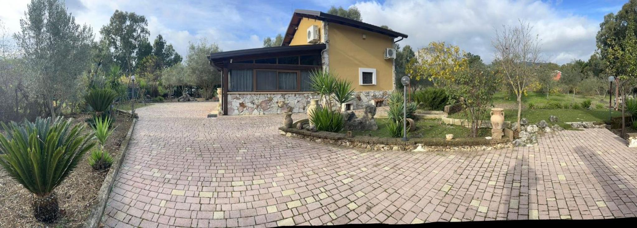 Photo 11