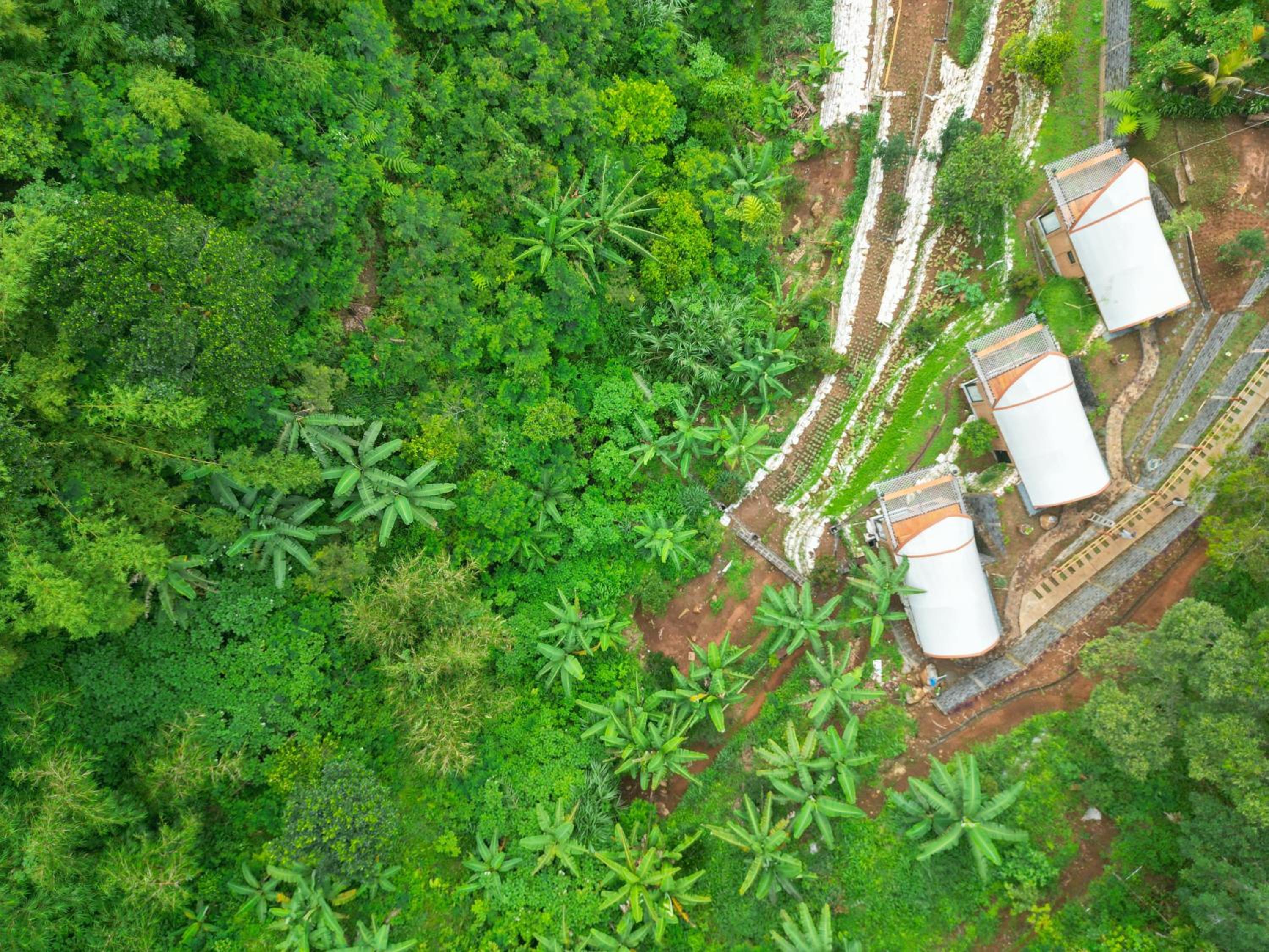Selayang Olivehill - Kemewahan Glamping di Hutan view 3
