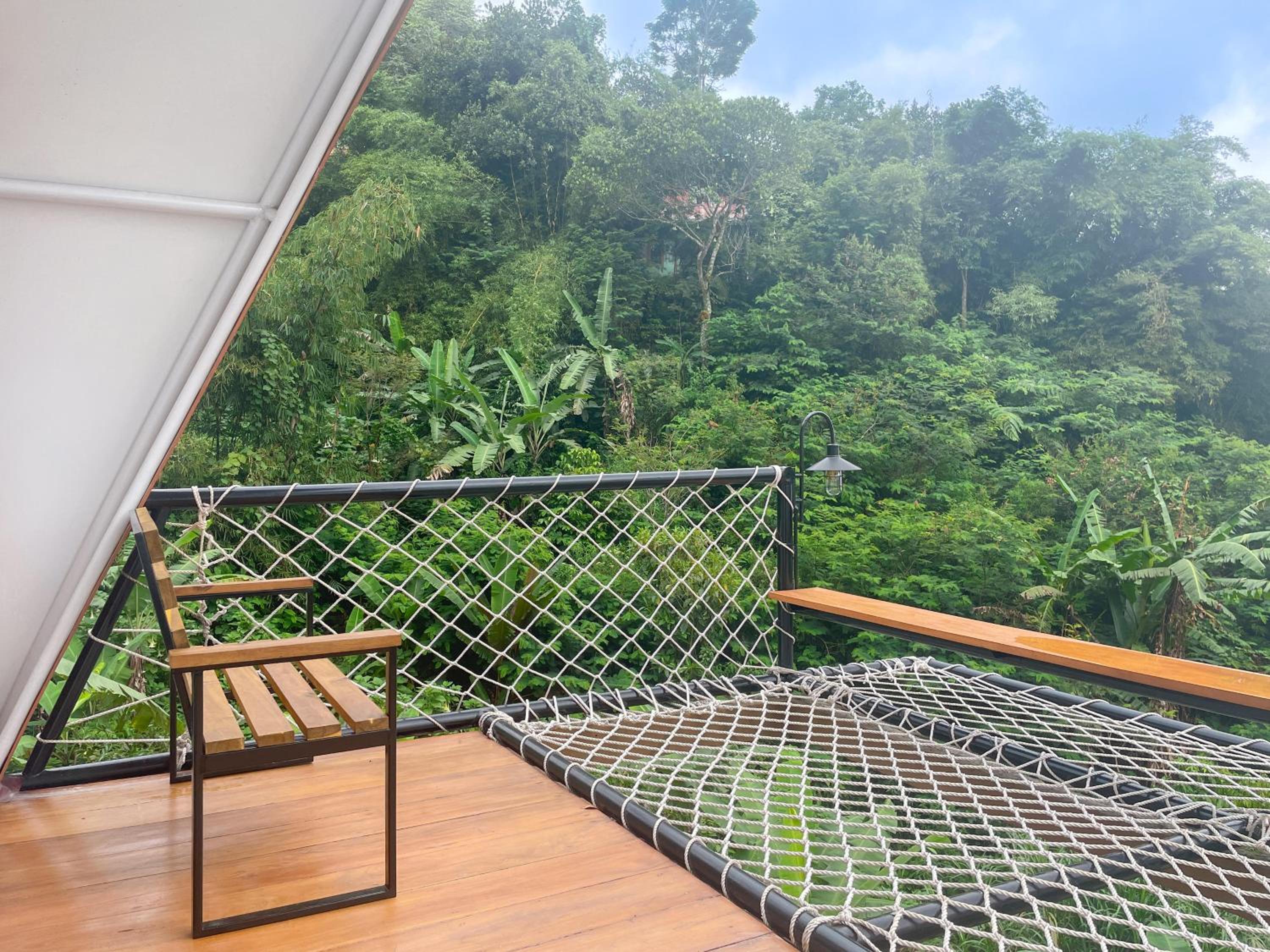 Selayang Olivehill - Kemewahan Glamping di Hutan view 5