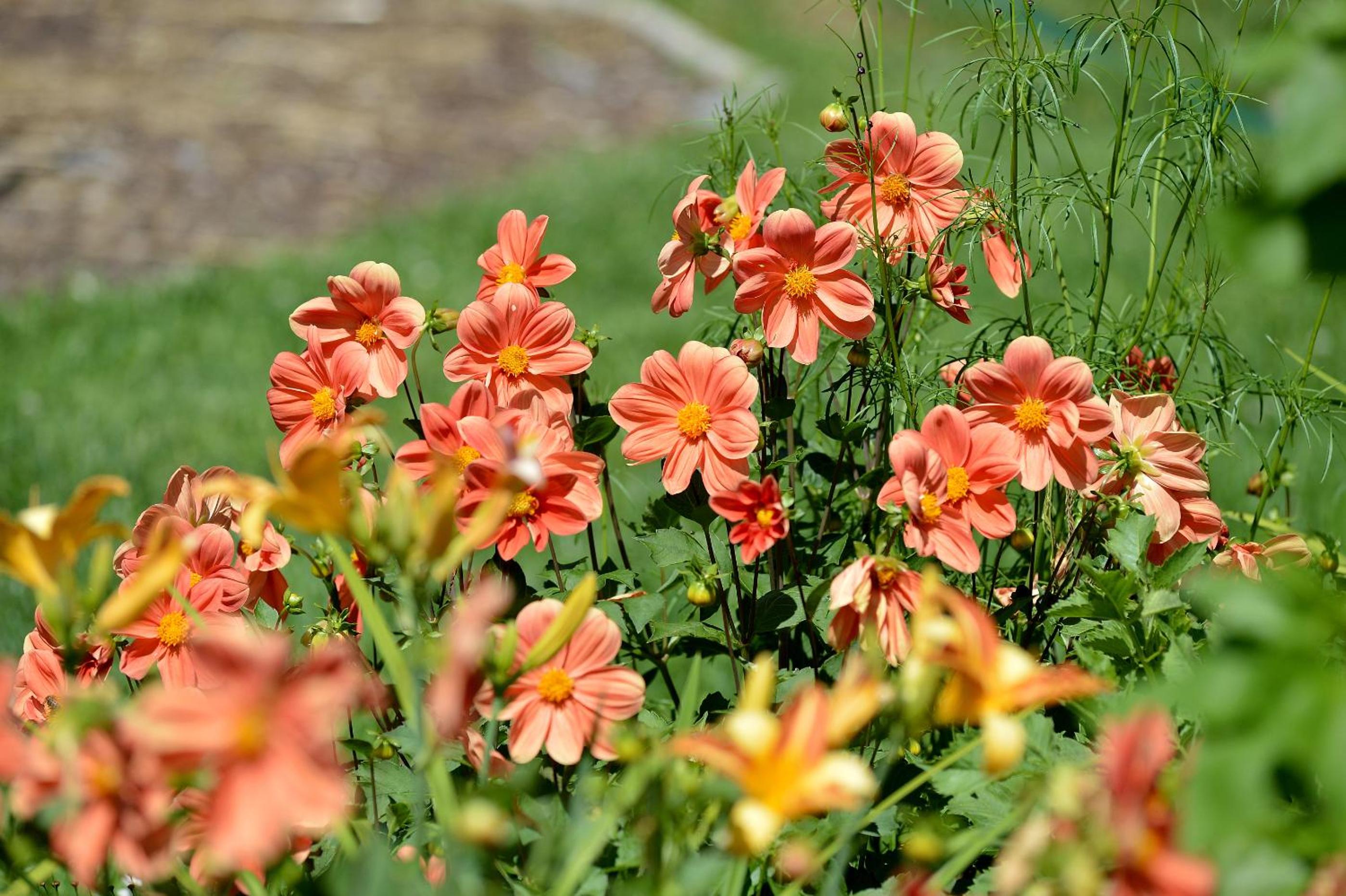 Pension Aloisia
