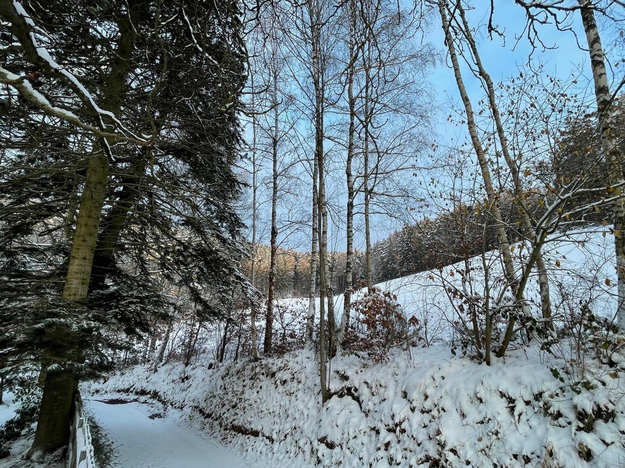 Auszeit im Wald - mit Schwimmbad!