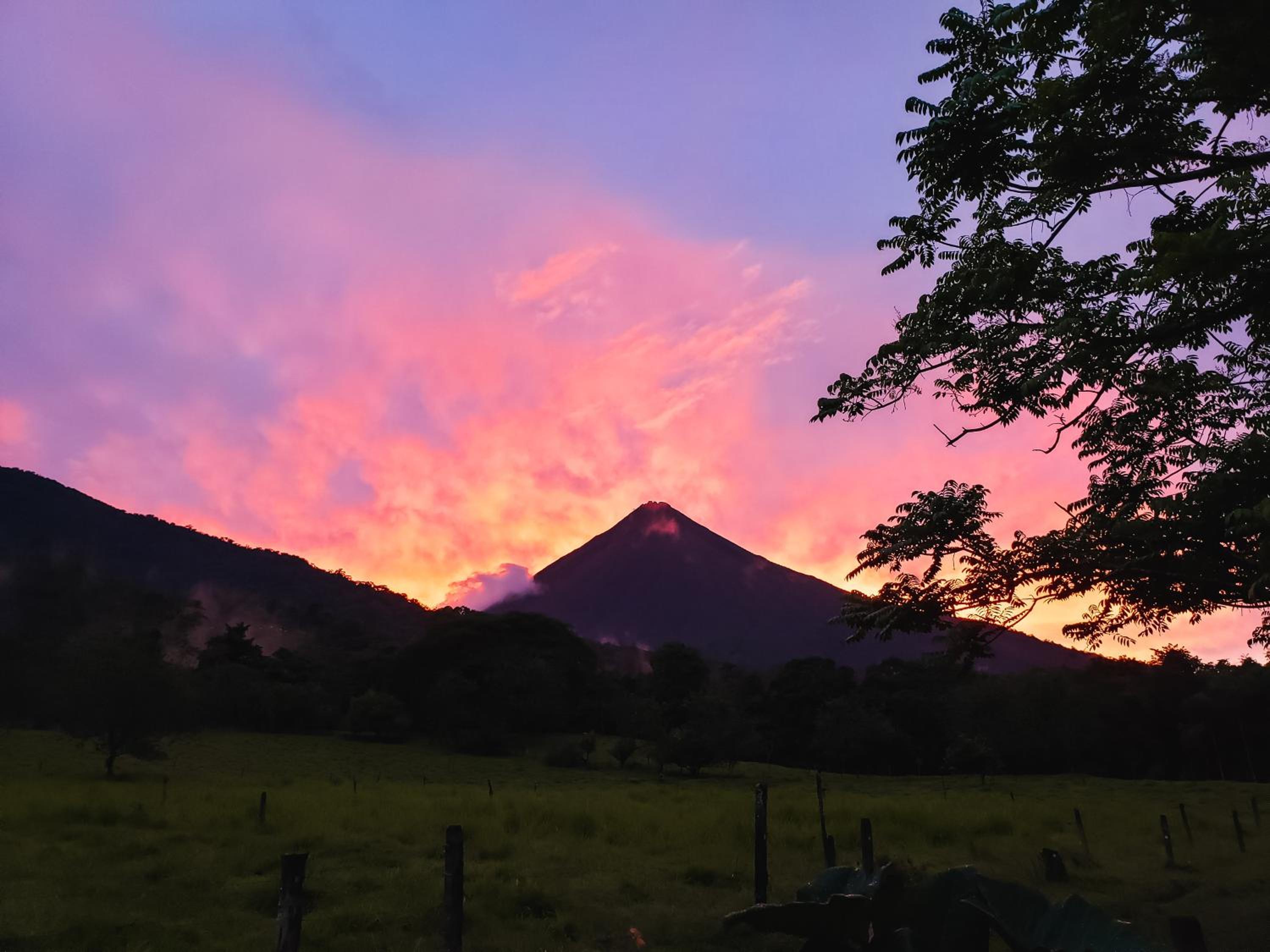 Flora Glamping de Abuela