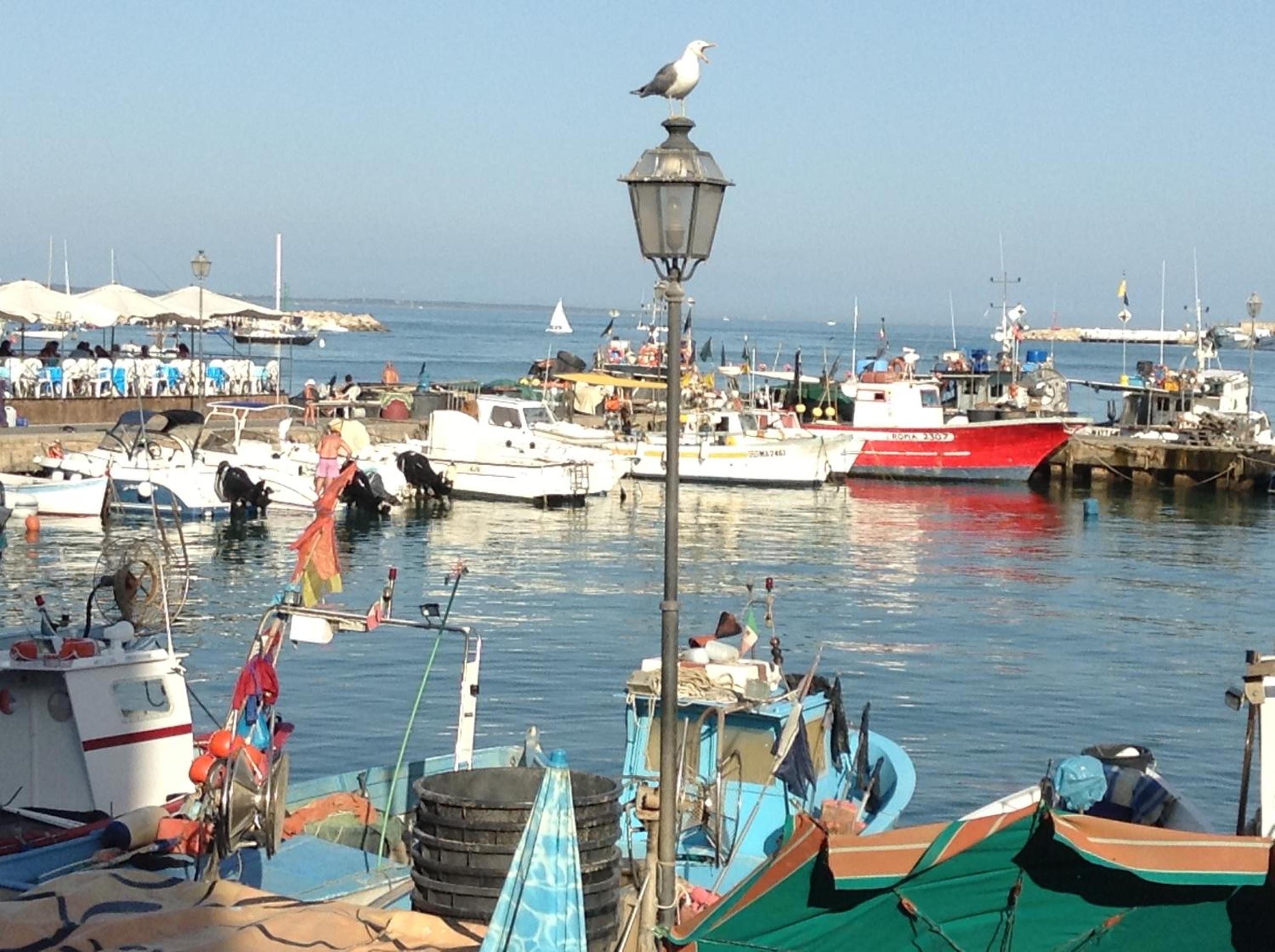 other