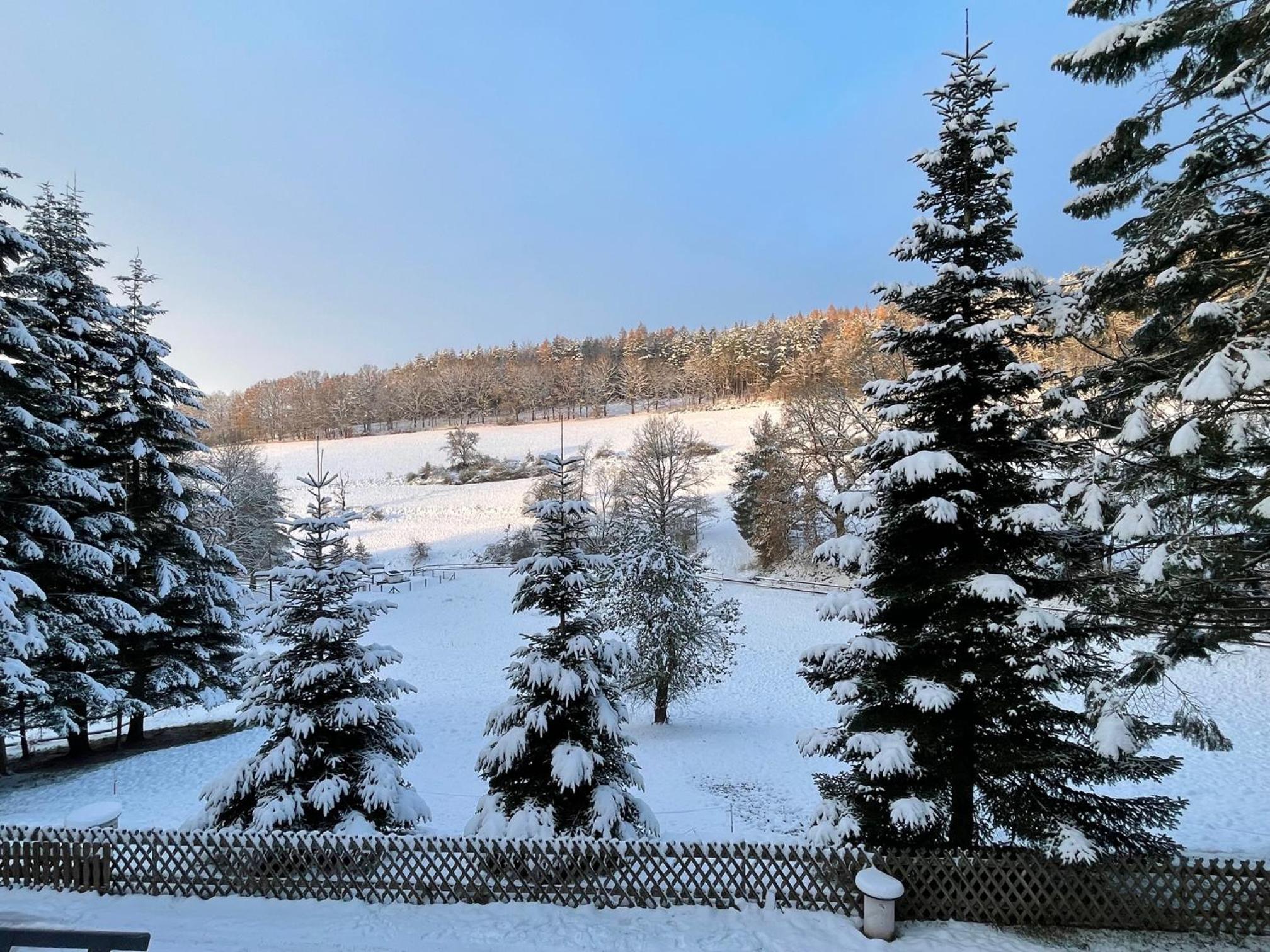 Apartment im Wald - mit Schwimmbad! - Property Image 2