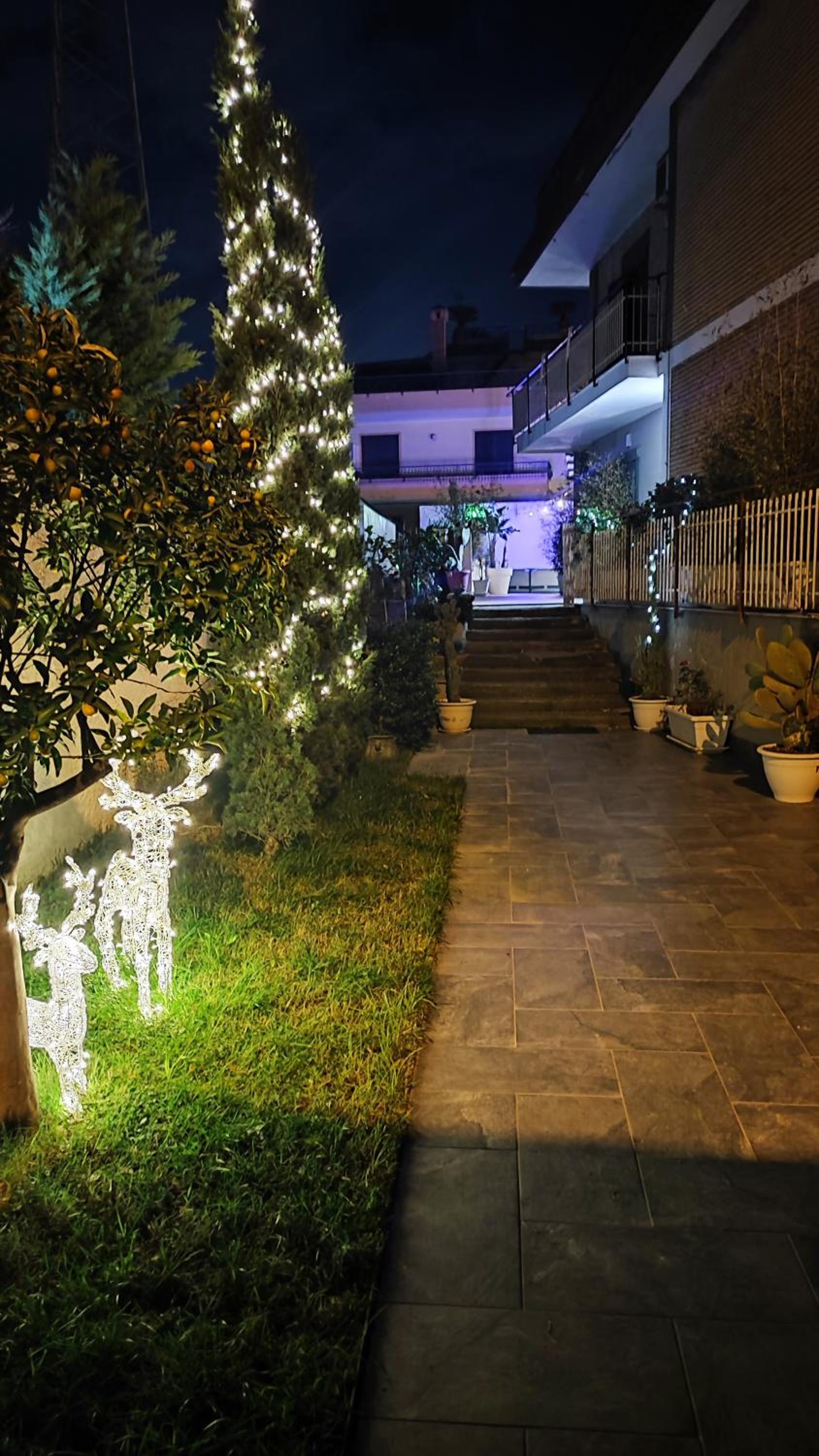 Casa Papa