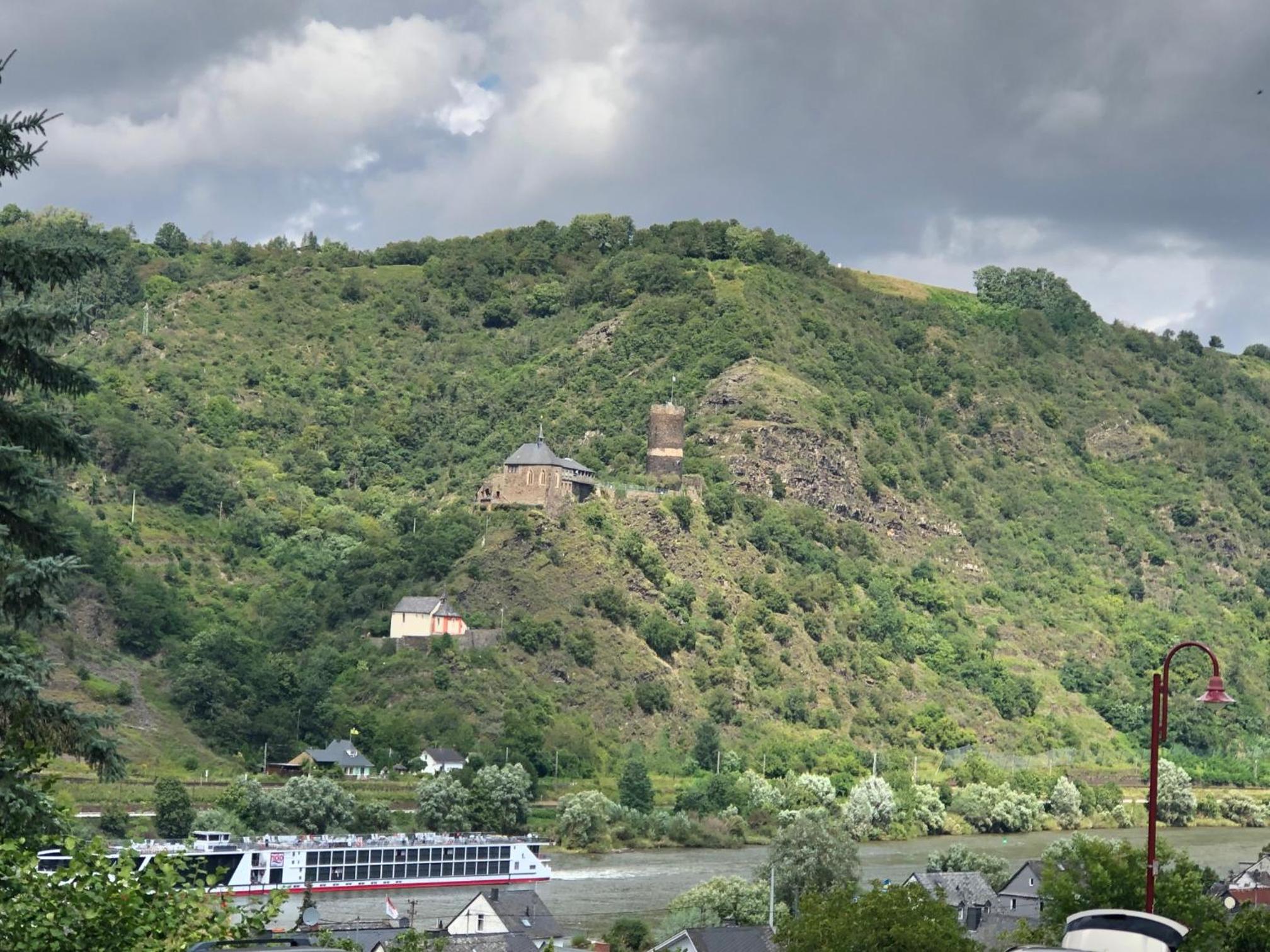Moselburgblick