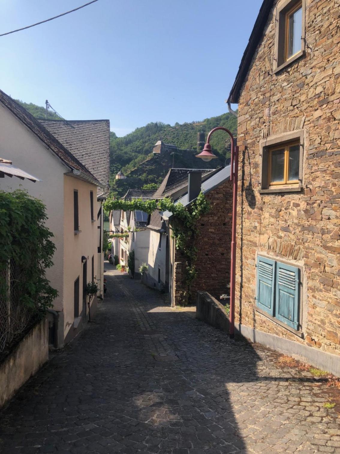 Moselburgblick