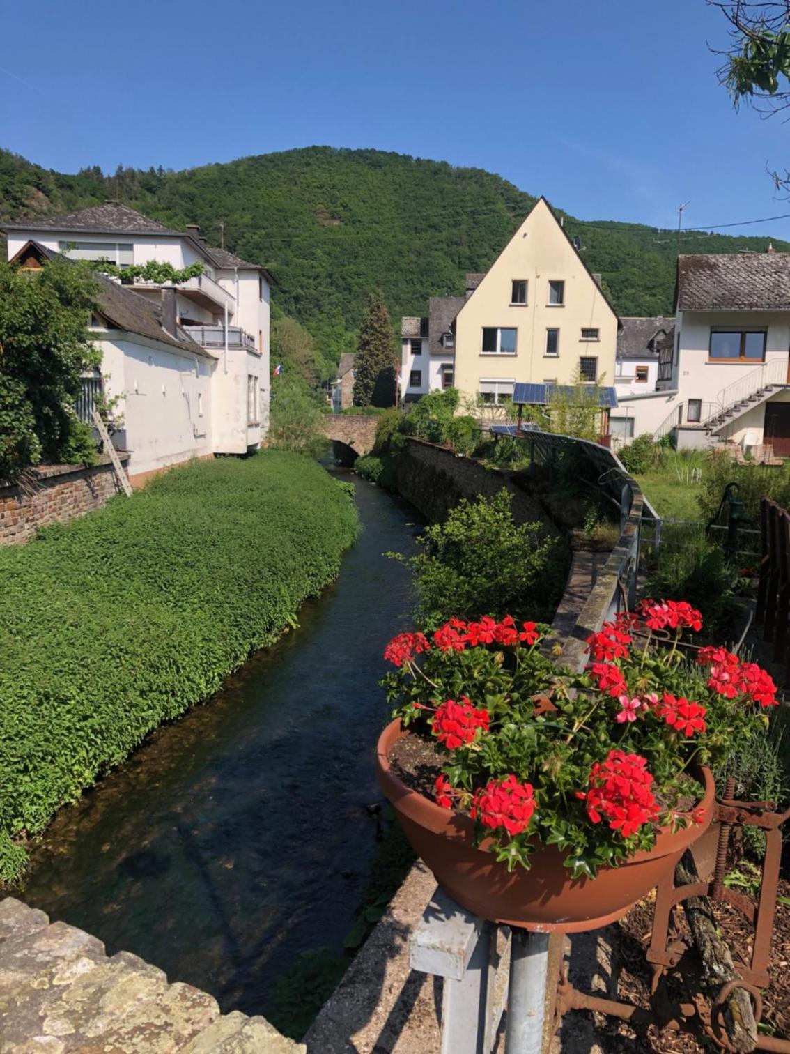 Moselburgblick