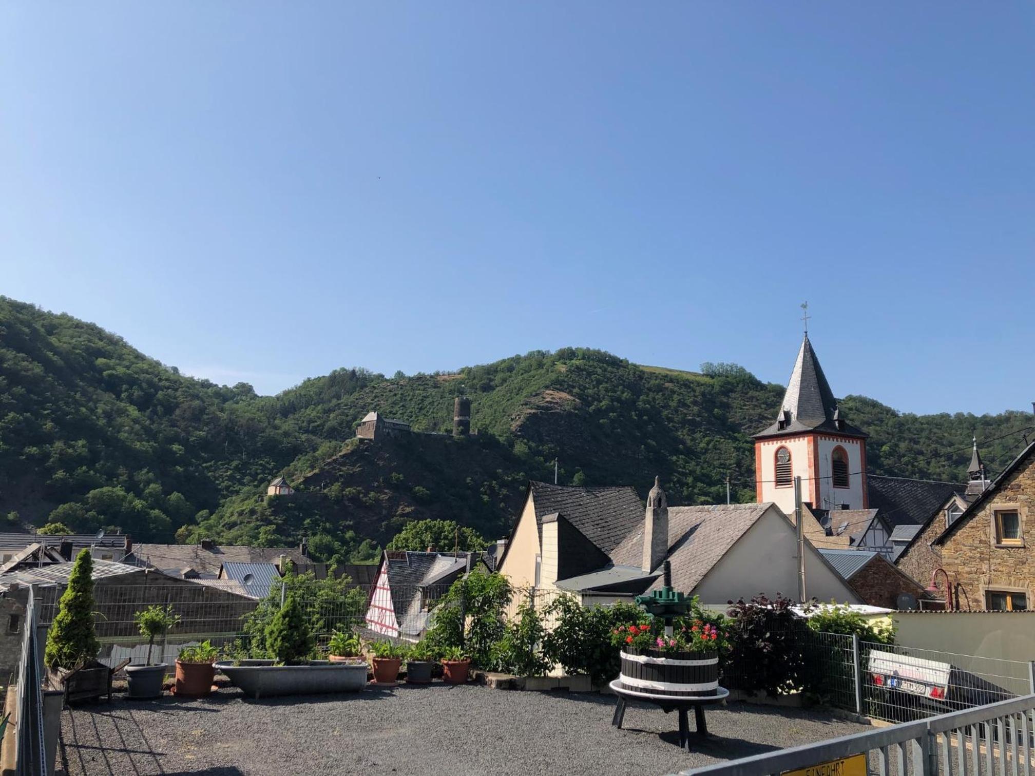 Moselburgblick