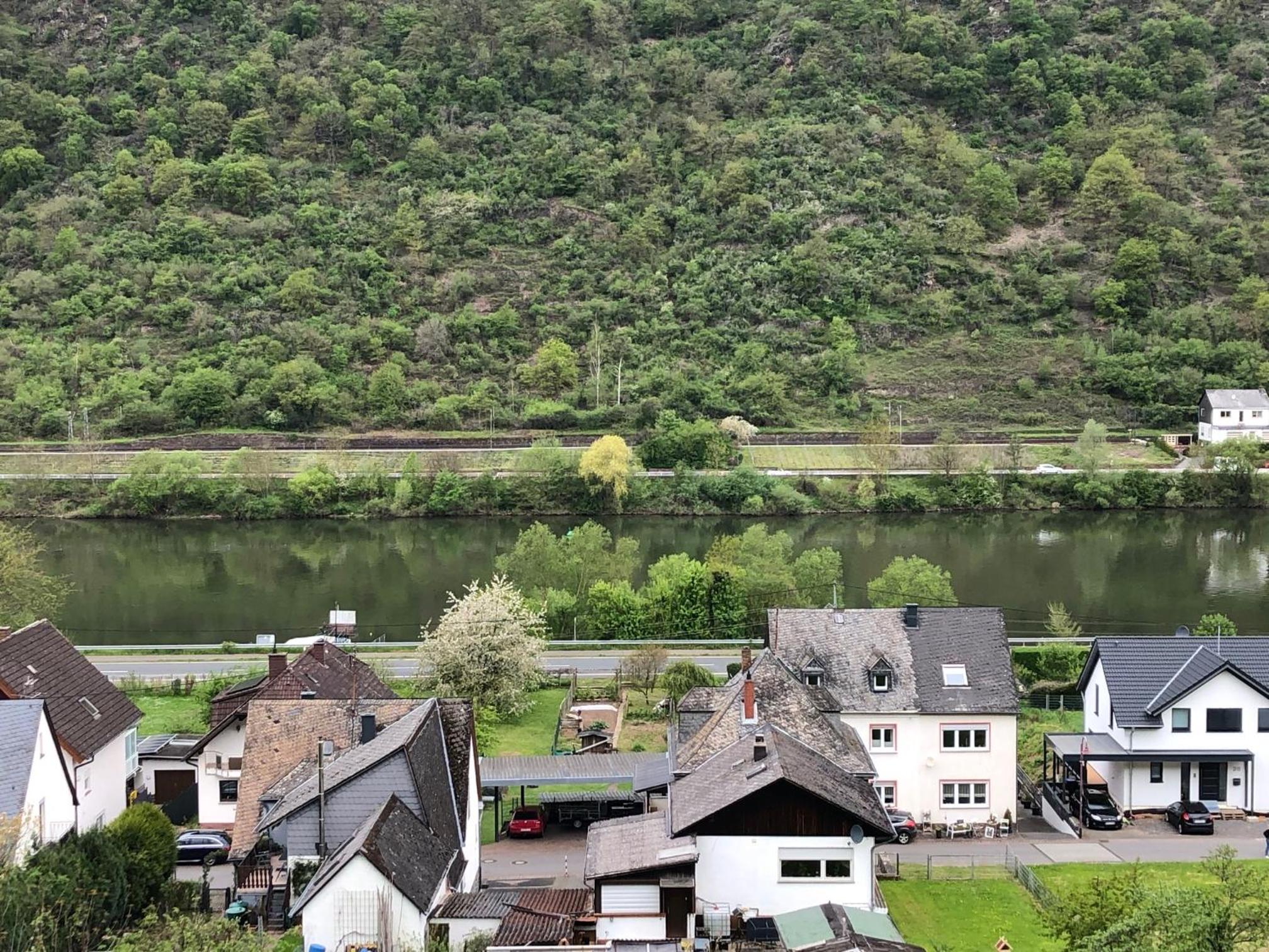 Moselburgblick