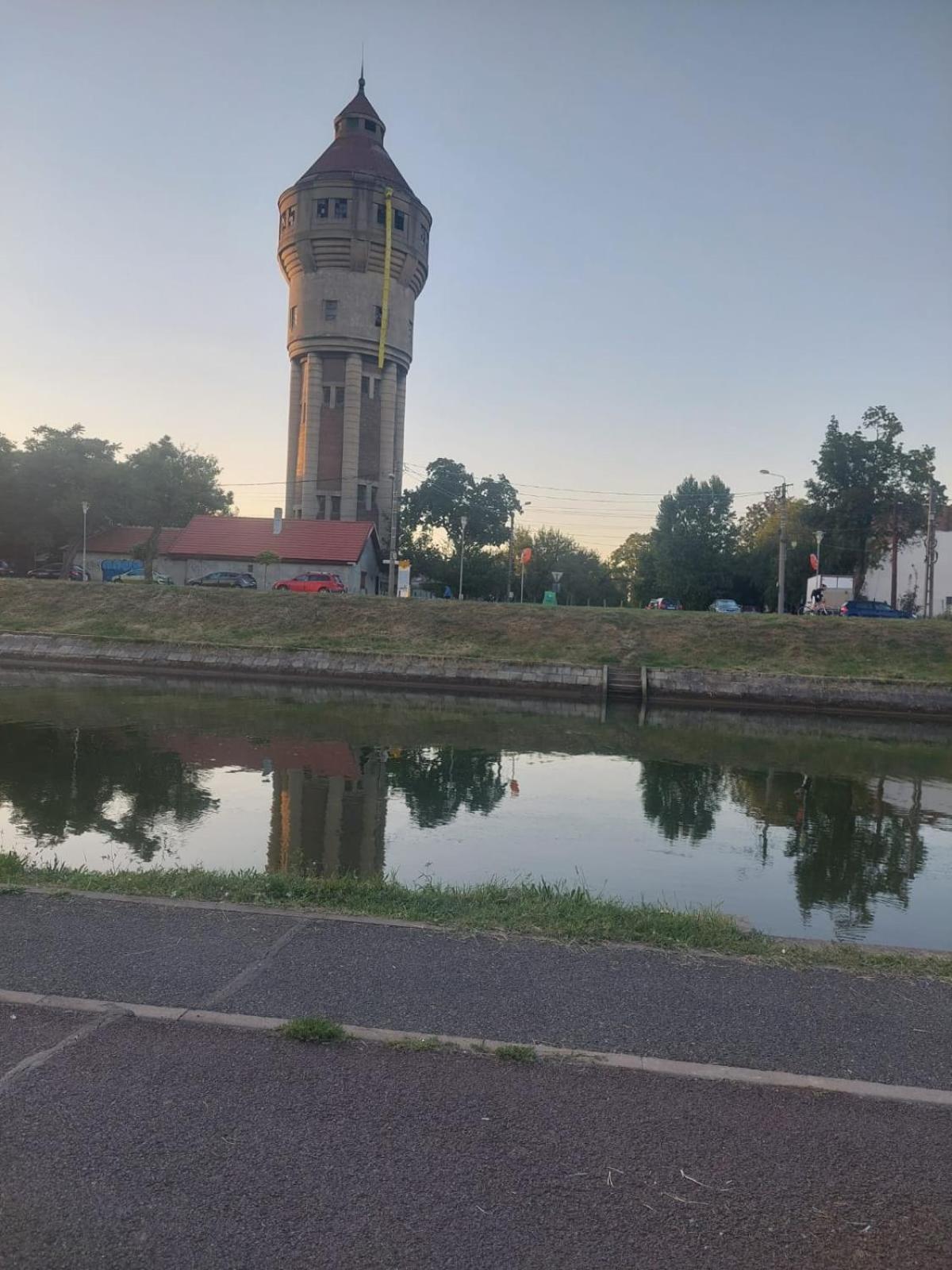 Apartament pe malul raului Bega view 3