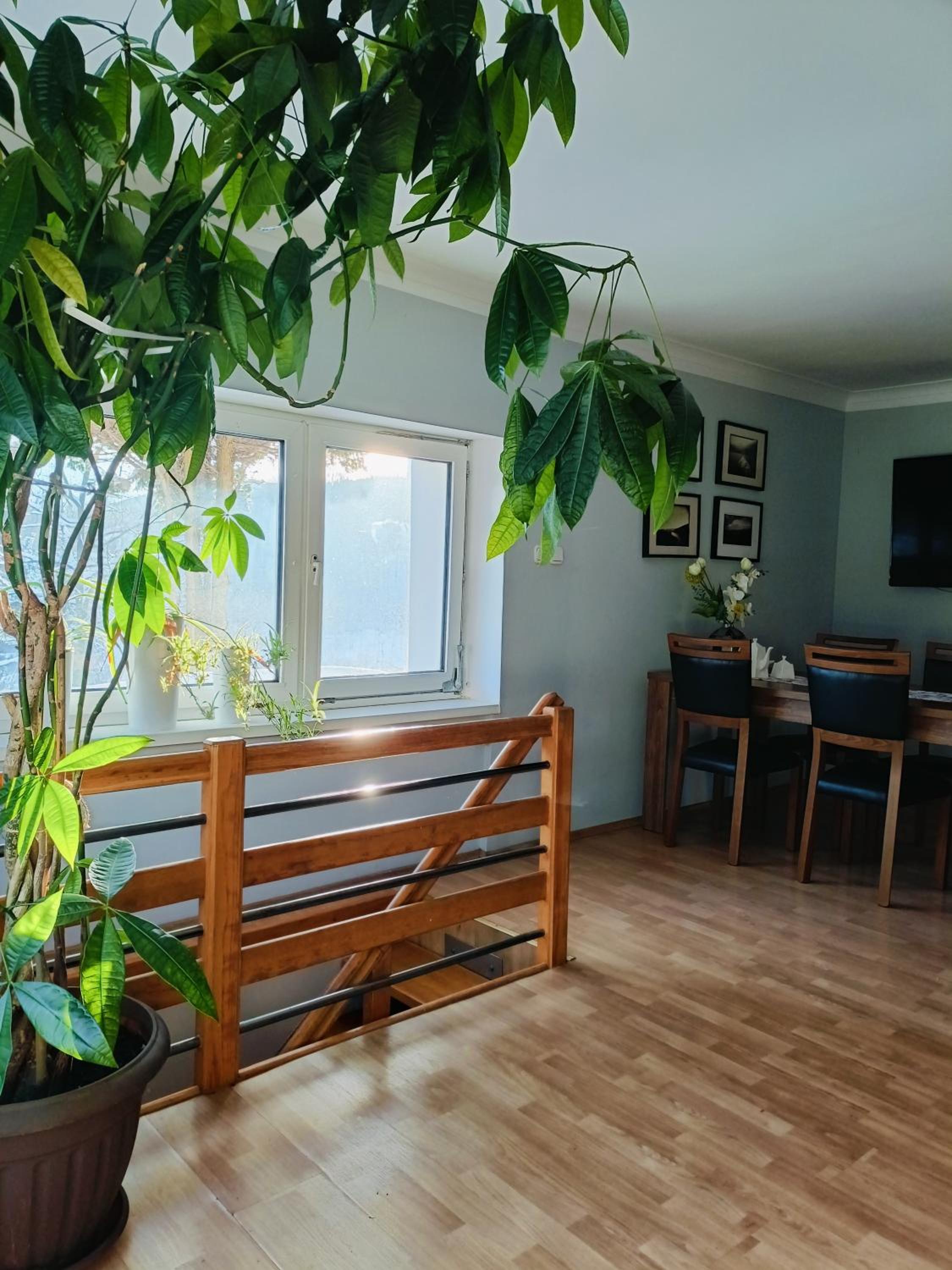Apartament nad Potokiem view 5