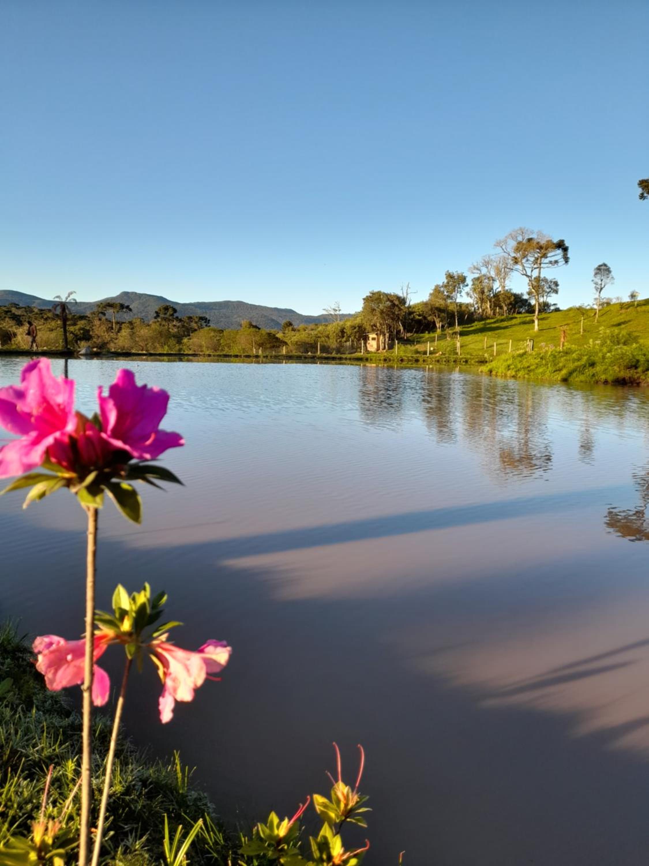 Refúgio Altos do Campestre - TURISMO RURAL