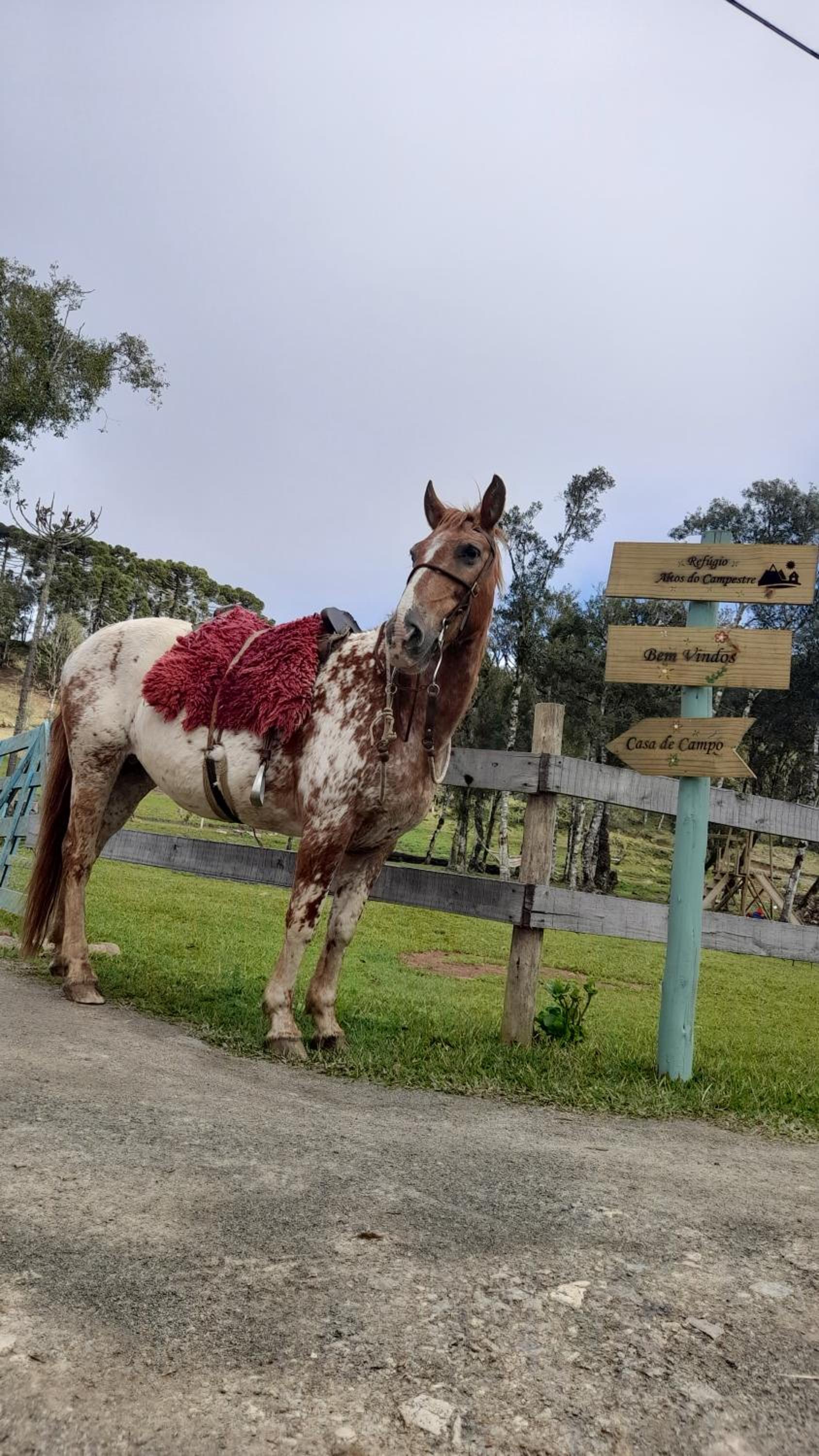 Refúgio Altos do Campestre - TURISMO RURAL