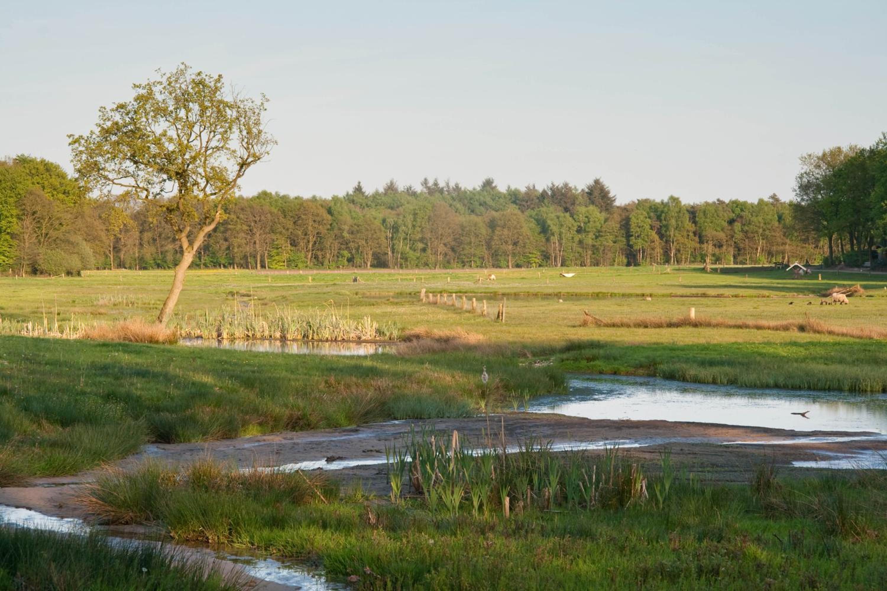 Brunninkhuizerbeek