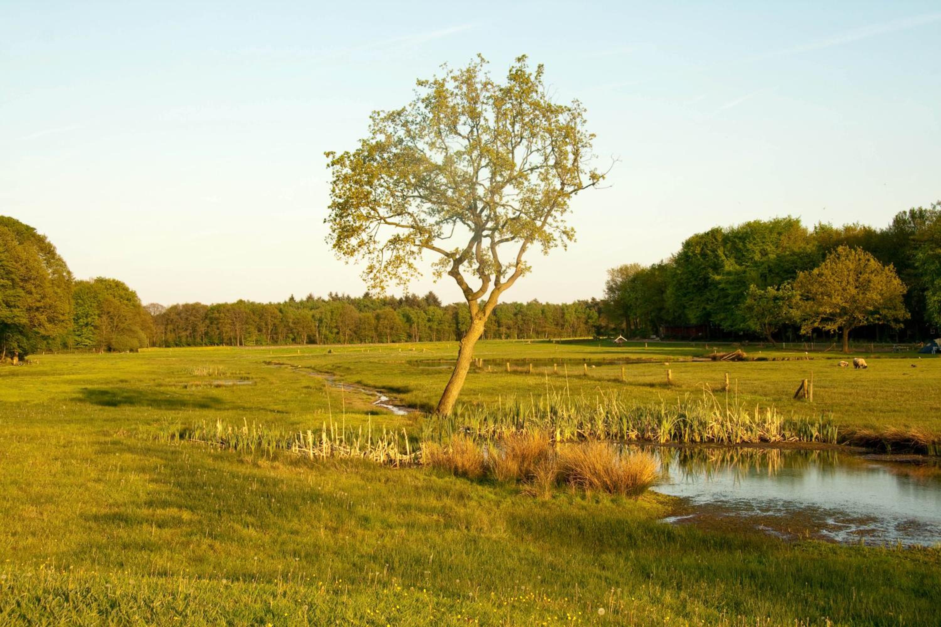 Brunninkhuizerbeek