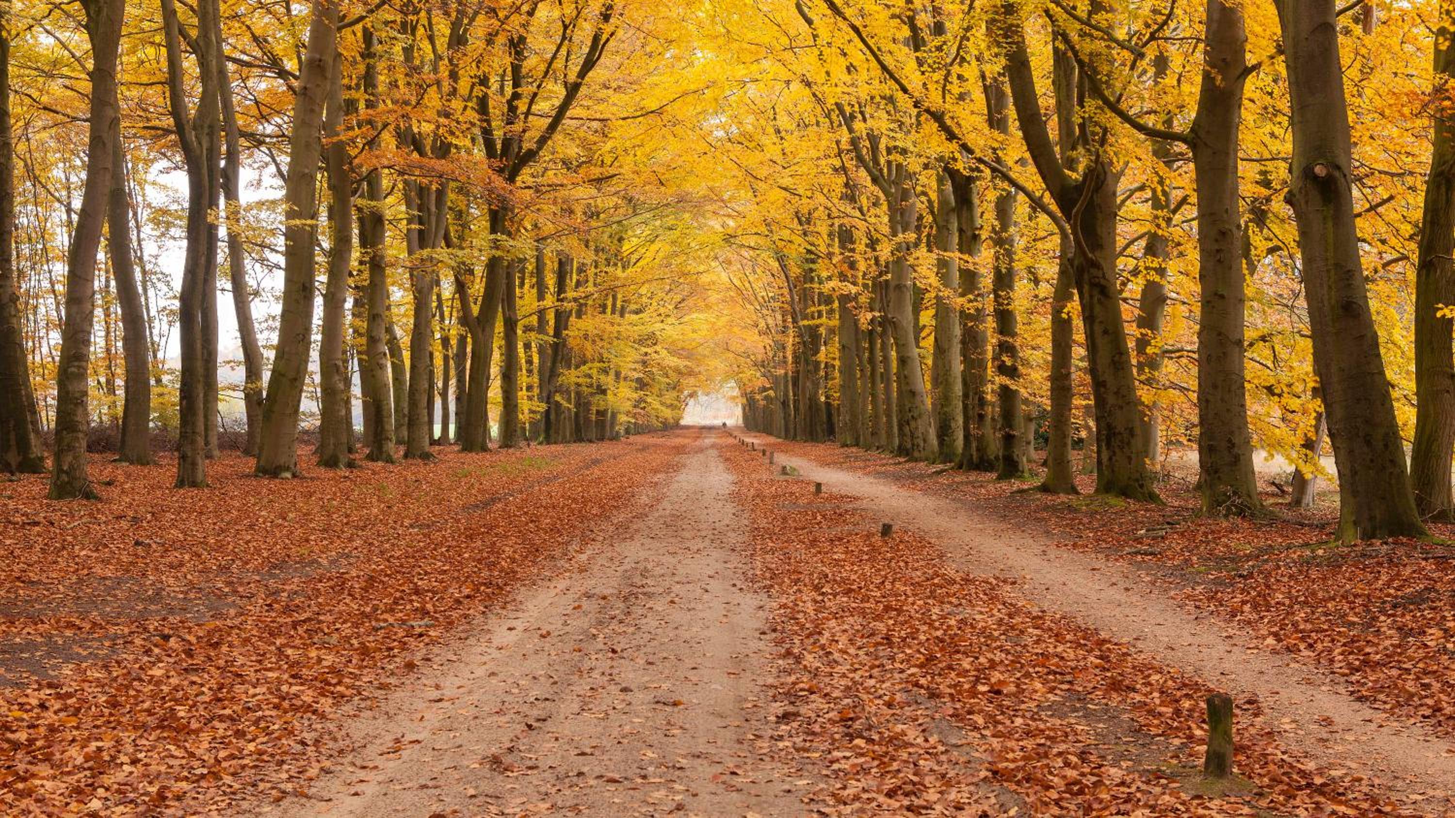 Brunninkhuizerbeek