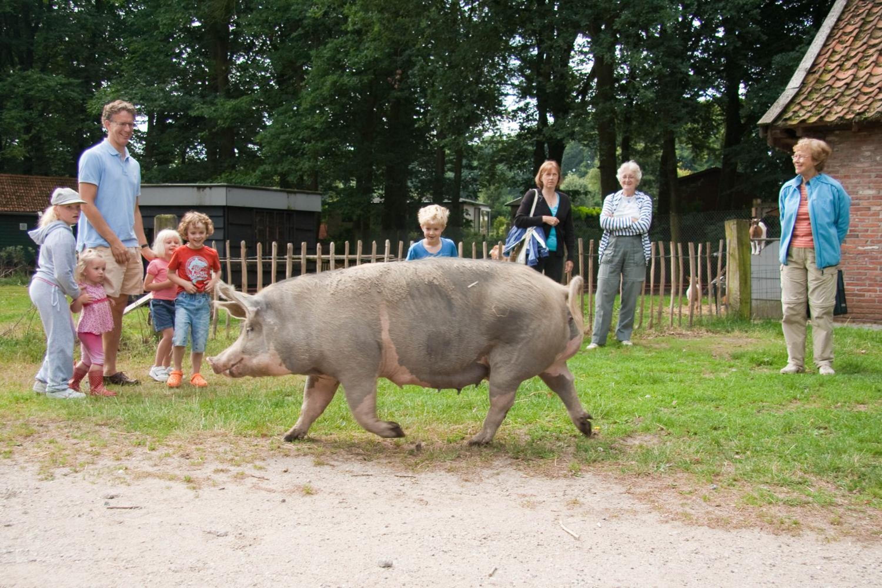 Brunninkhuizerbeek