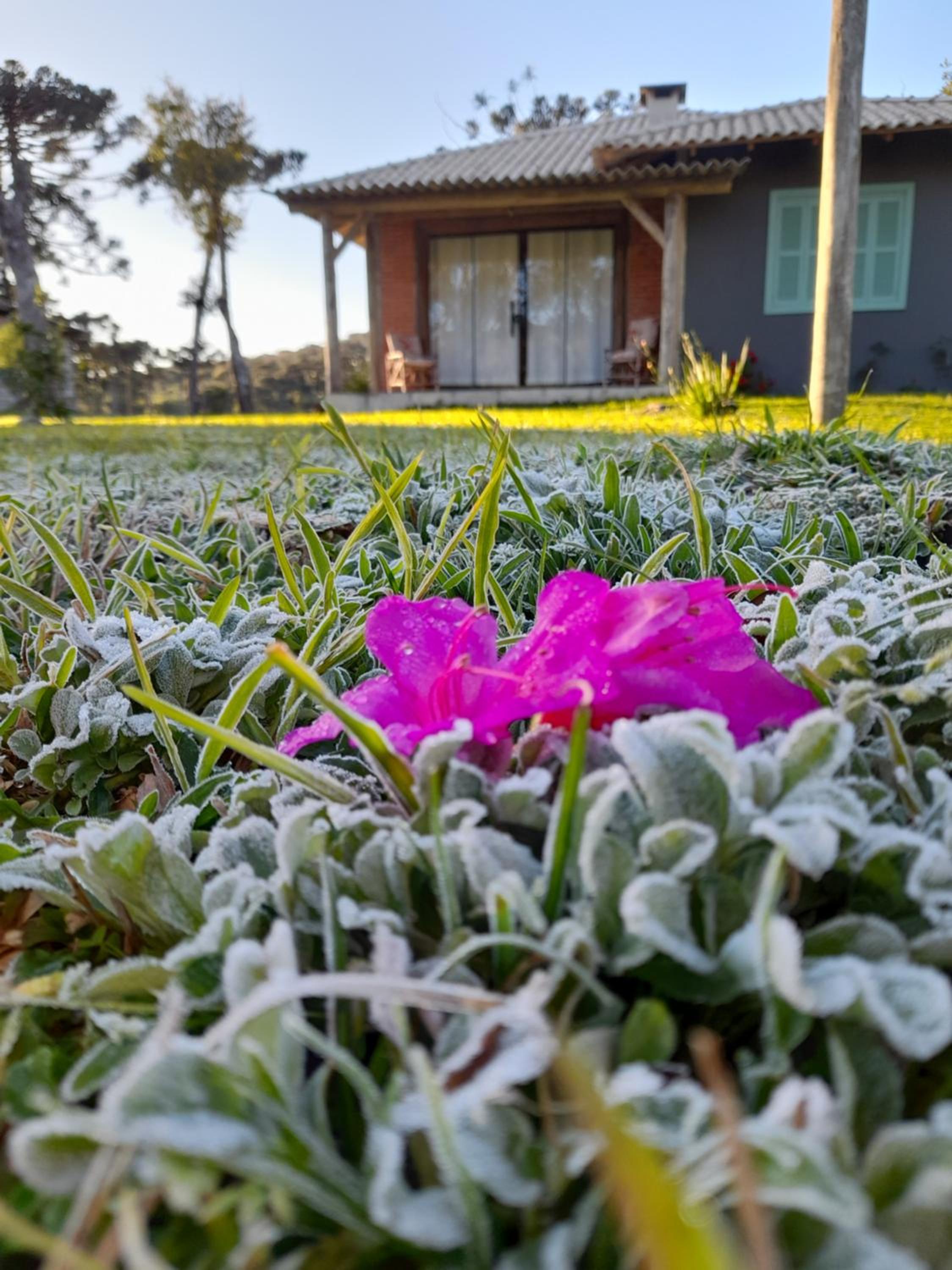 Refúgio Altos do Campestre - TURISMO RURAL