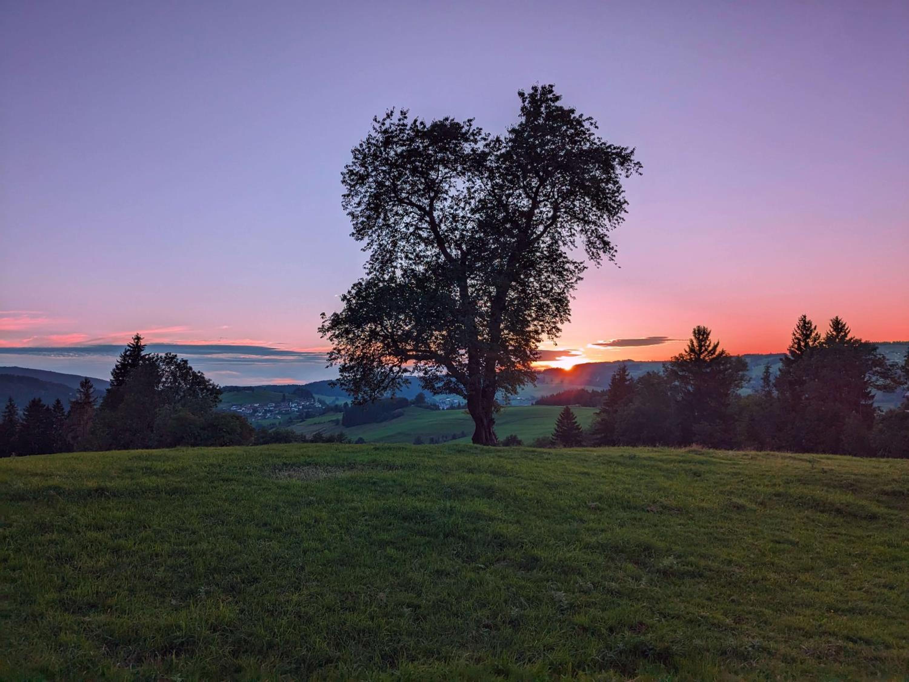 4-Sterne Tiny House & erholsame Ruhe und ganz viel Natur im Oberallgäu
