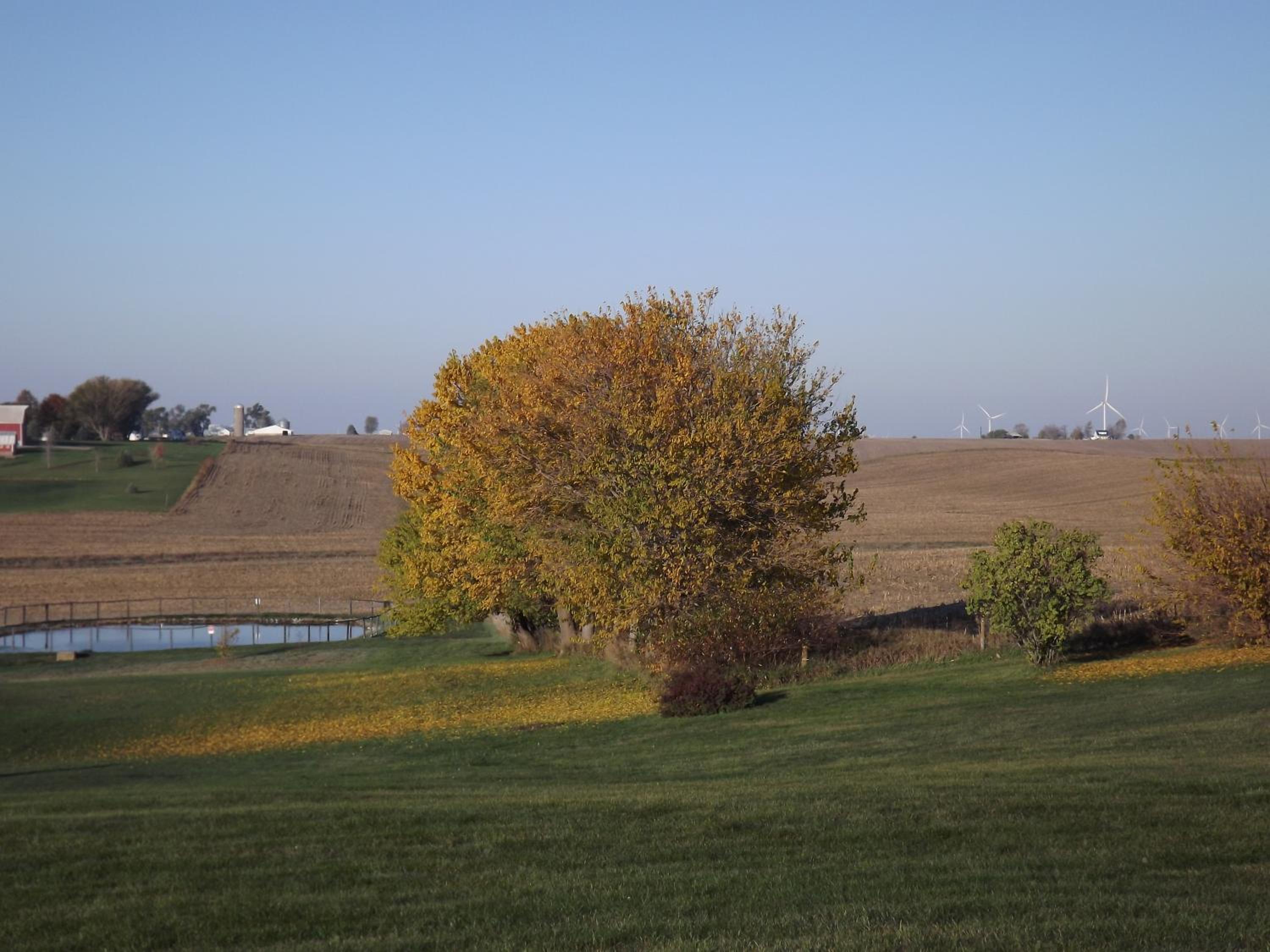 Crest Country Inn