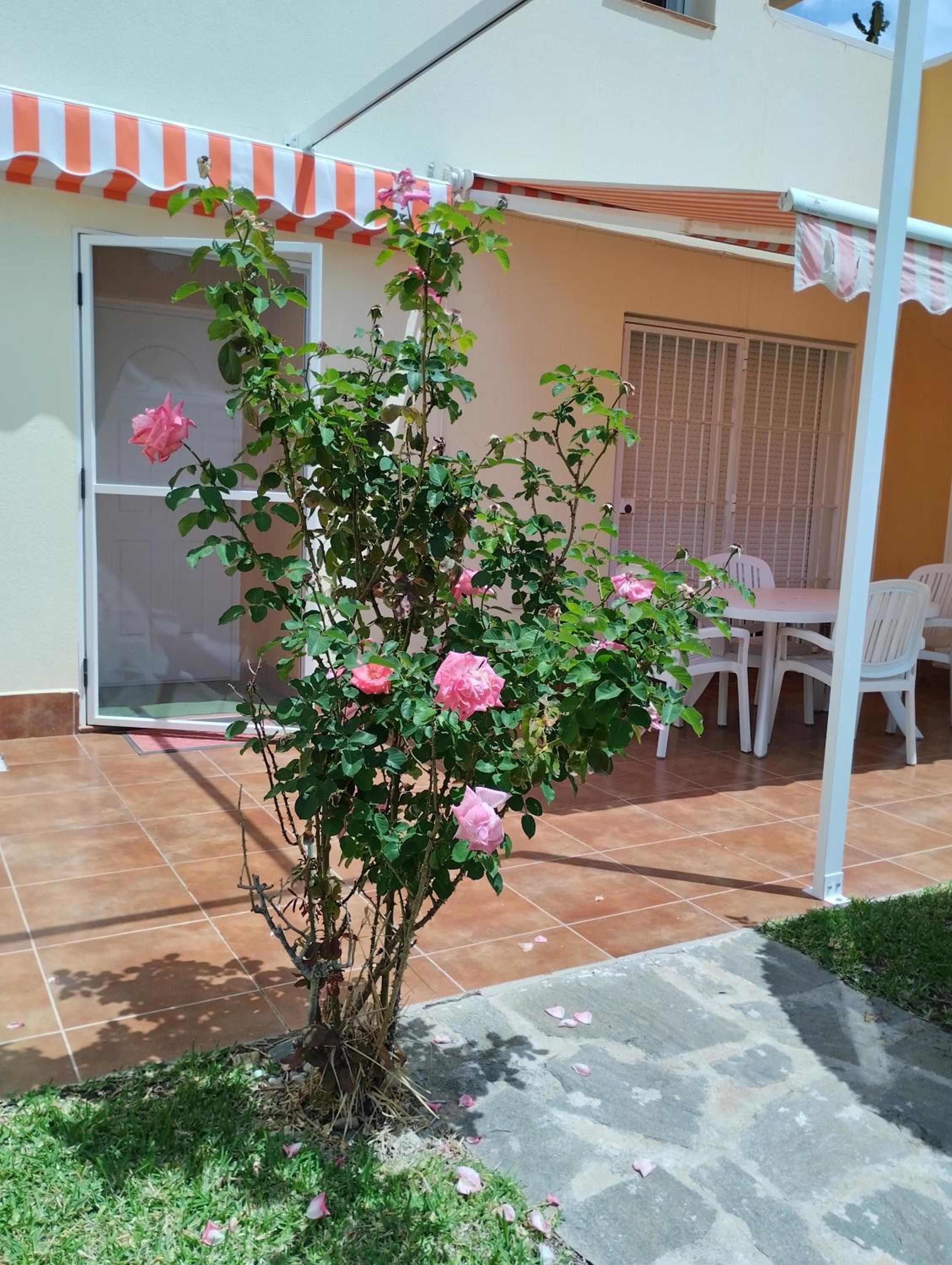 Bahía de Vera Apartamento Aquaria