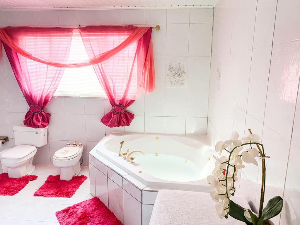 Tropical Retreat Stay Aruba