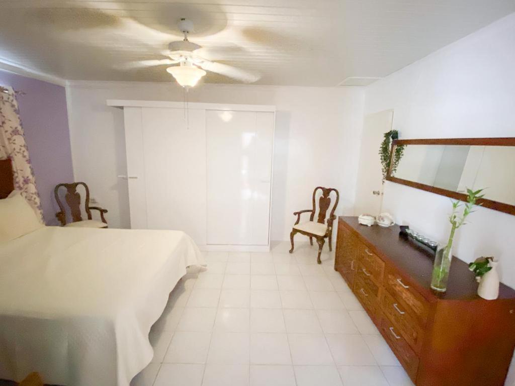 Tropical Retreat Stay Aruba