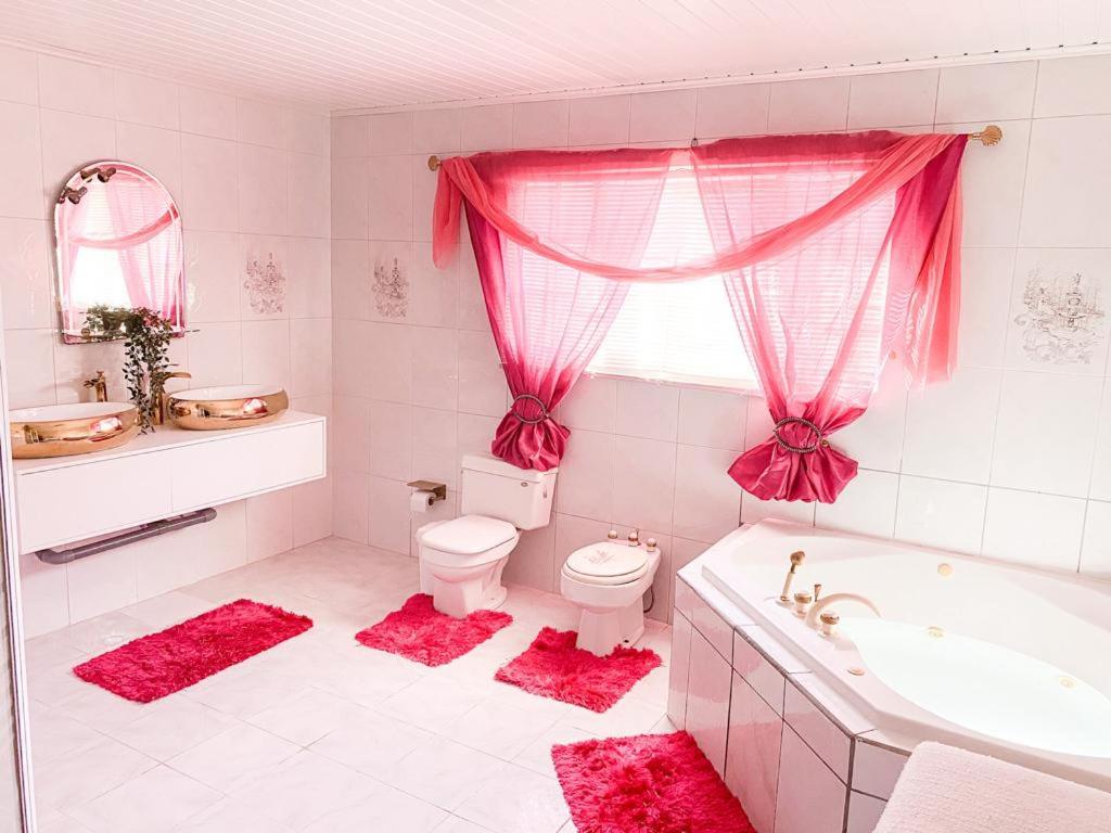 Tropical Retreat Stay Aruba