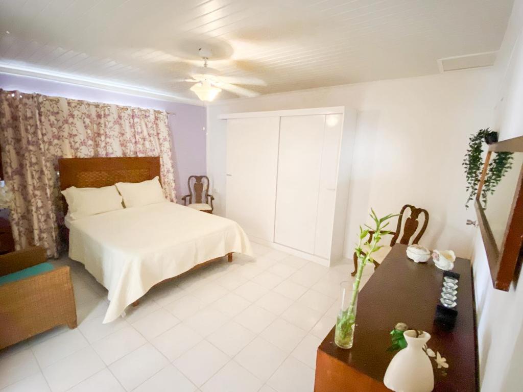 Tropical Retreat Stay Aruba