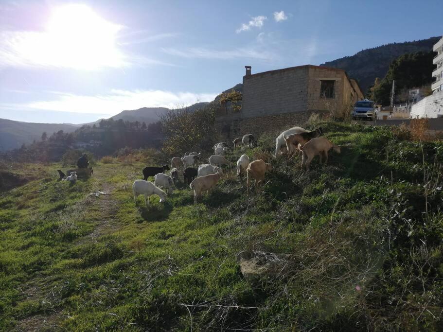 Casa Lourdes
