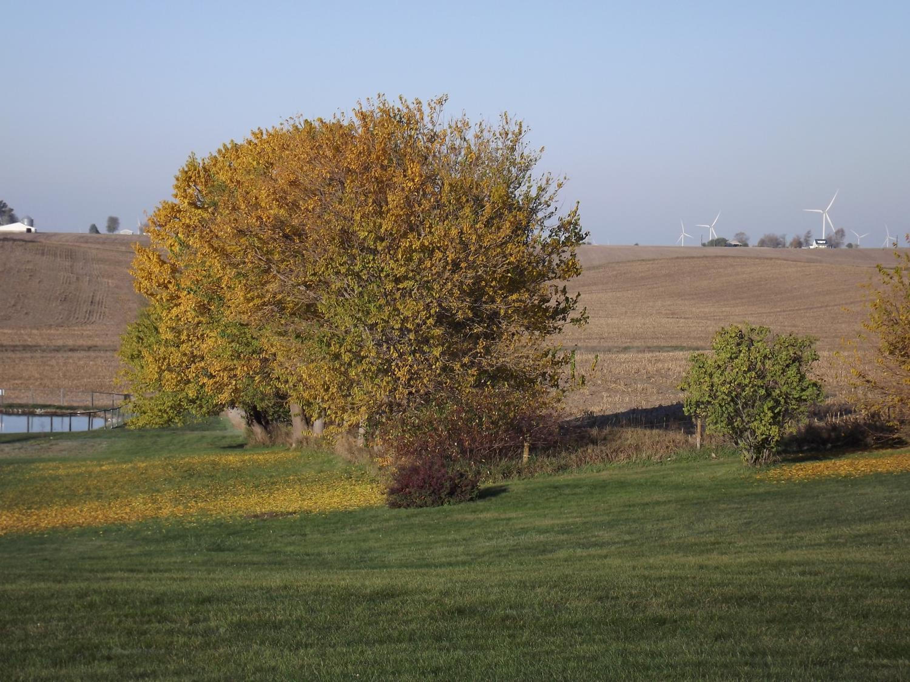 Crest Country Inn