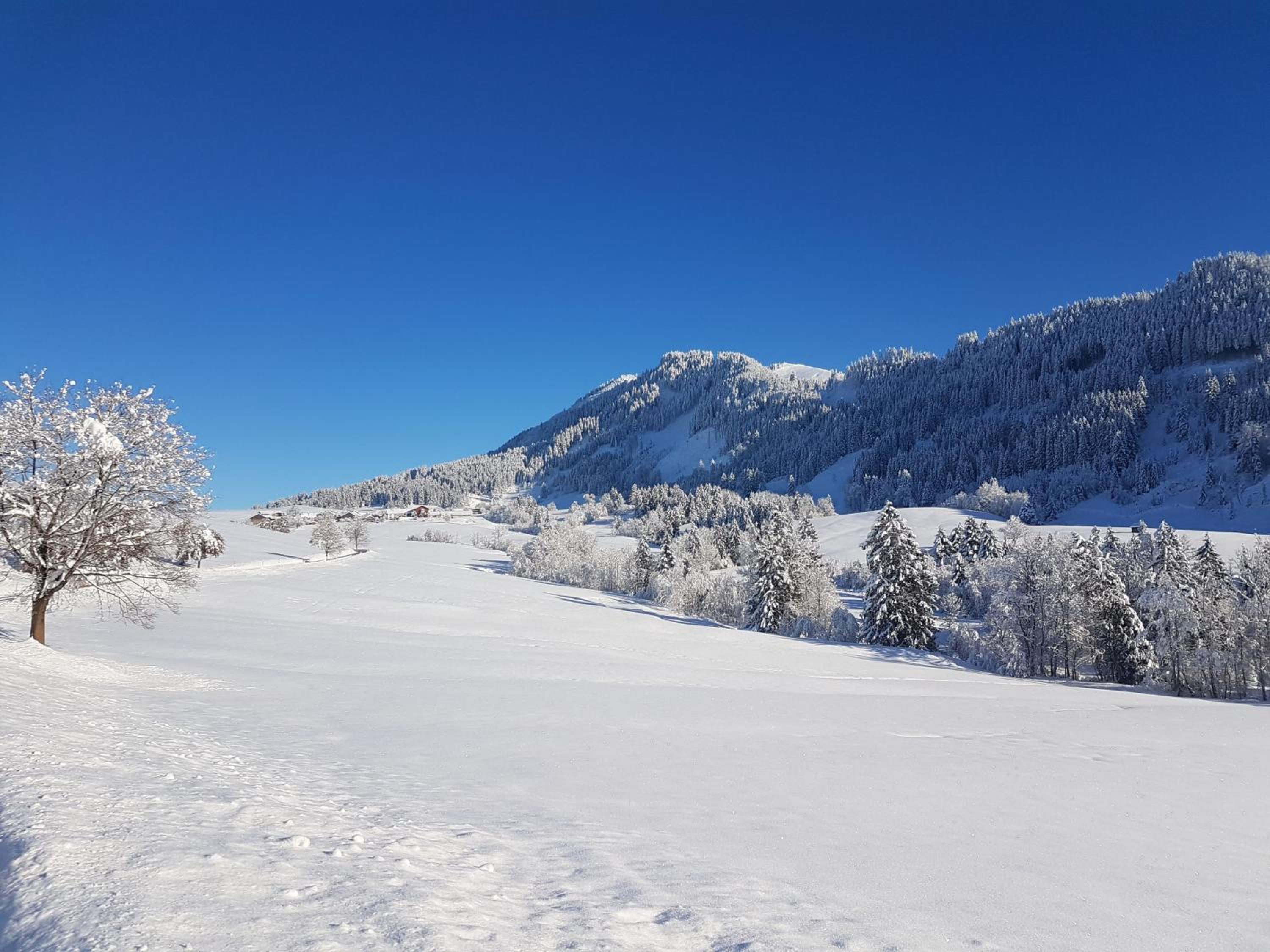 4-Sterne Tiny House & erholsame Ruhe und ganz viel Natur im Oberallgäu